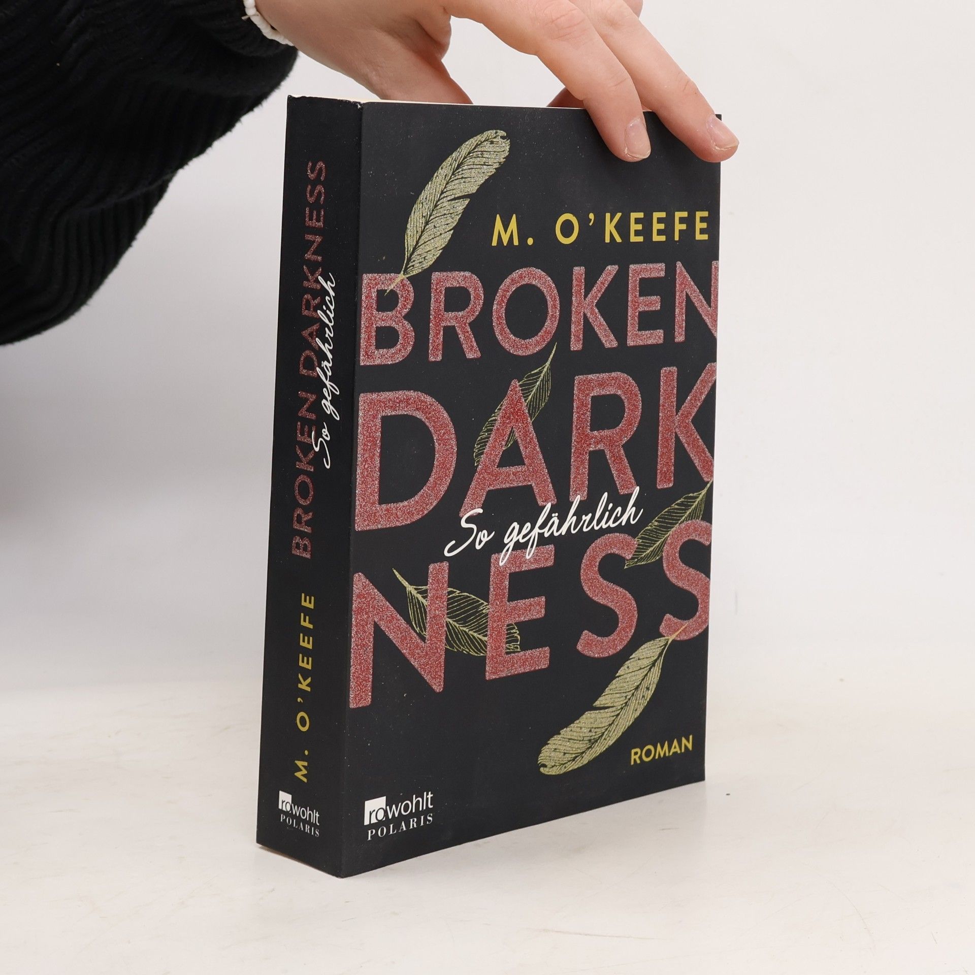 Molly O. Keefe Broken darkness - so gefährlich