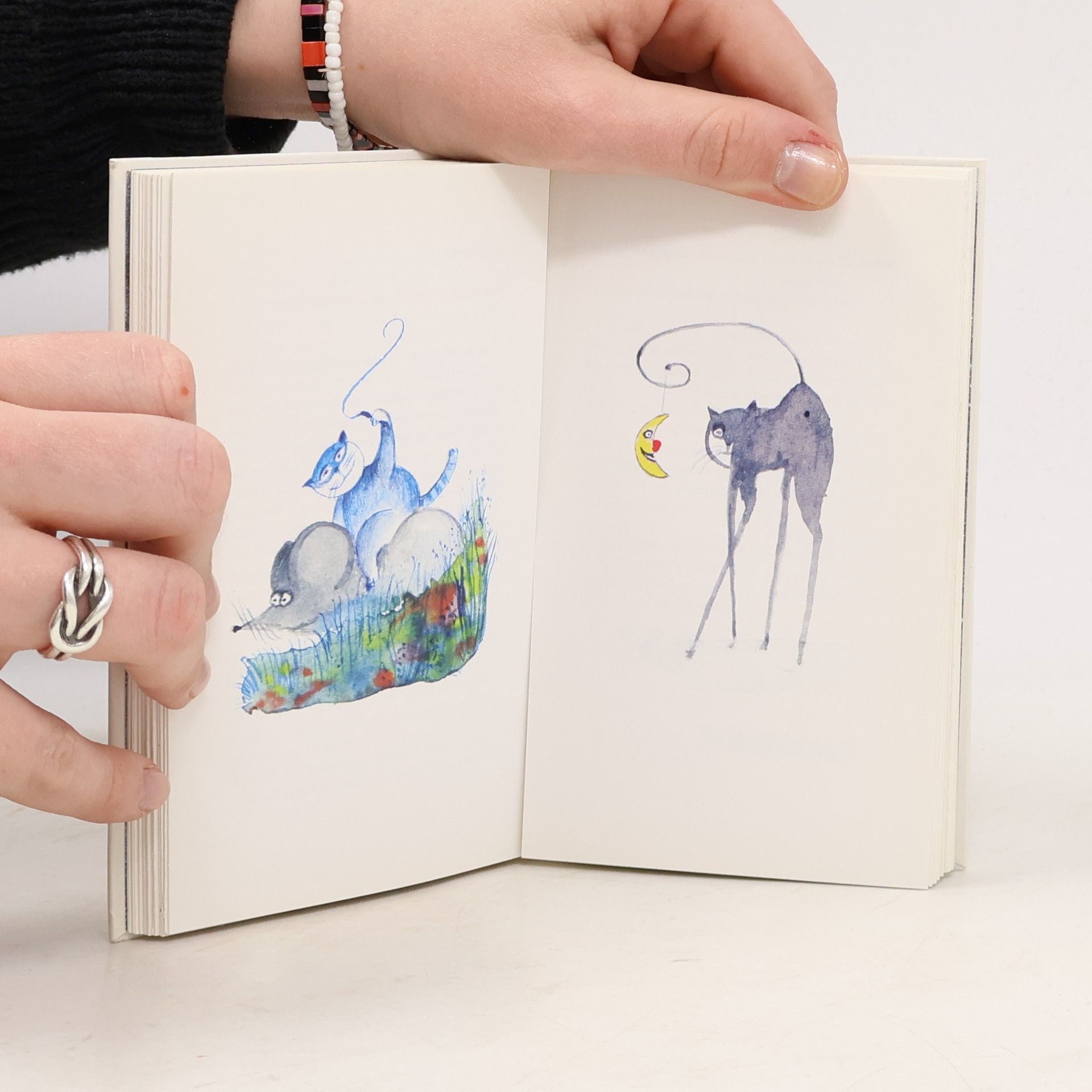 Axel Frohn Katzenbuch für Erwachsene
