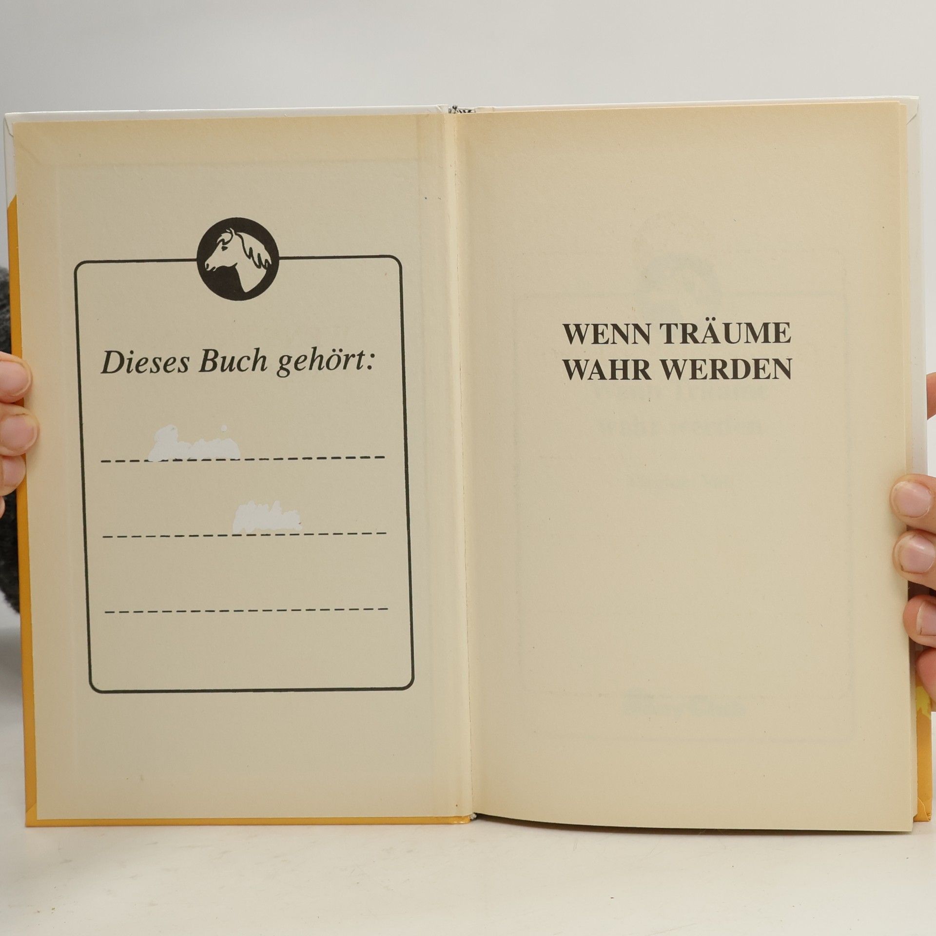 Virginia Vail Wenn Träume wahr werden
