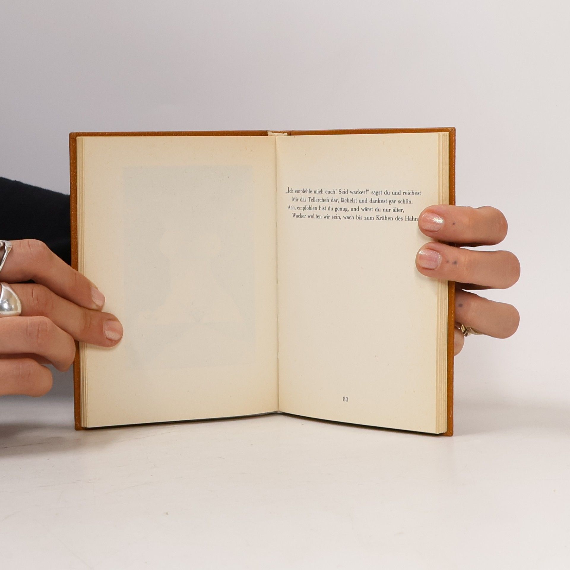 Johann Wolfgang von Goethe Wunderlichstes Buch der Bücher