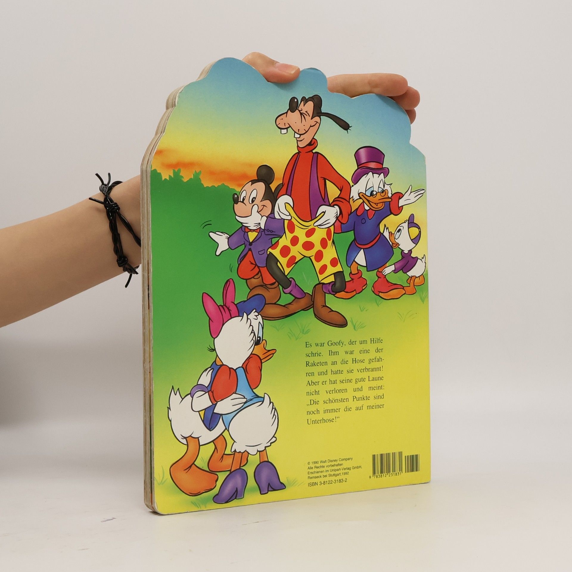 kolektiv Donald und seine Freunde