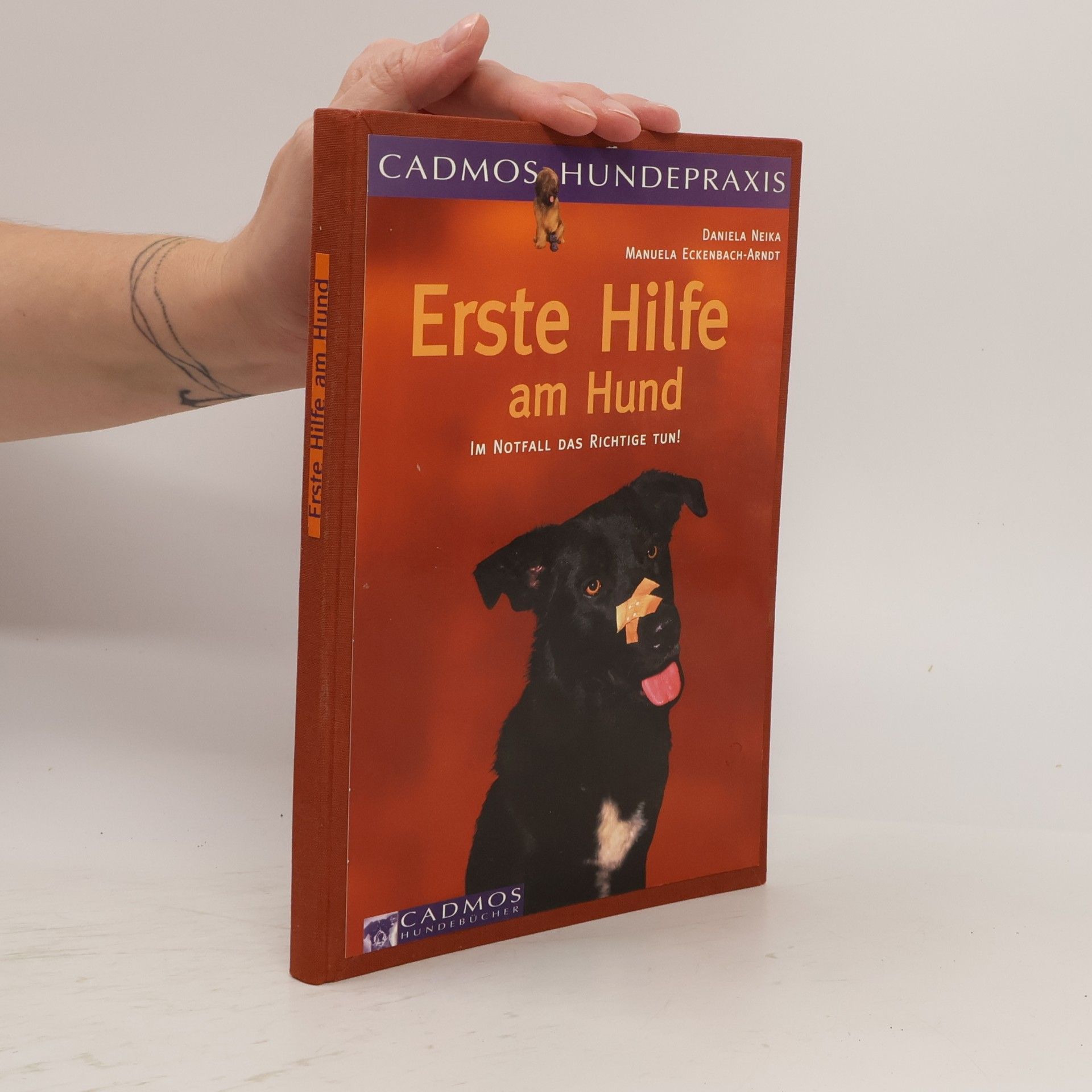 Manuela Eckenbach-Arndt Erste Hilfe am Hund