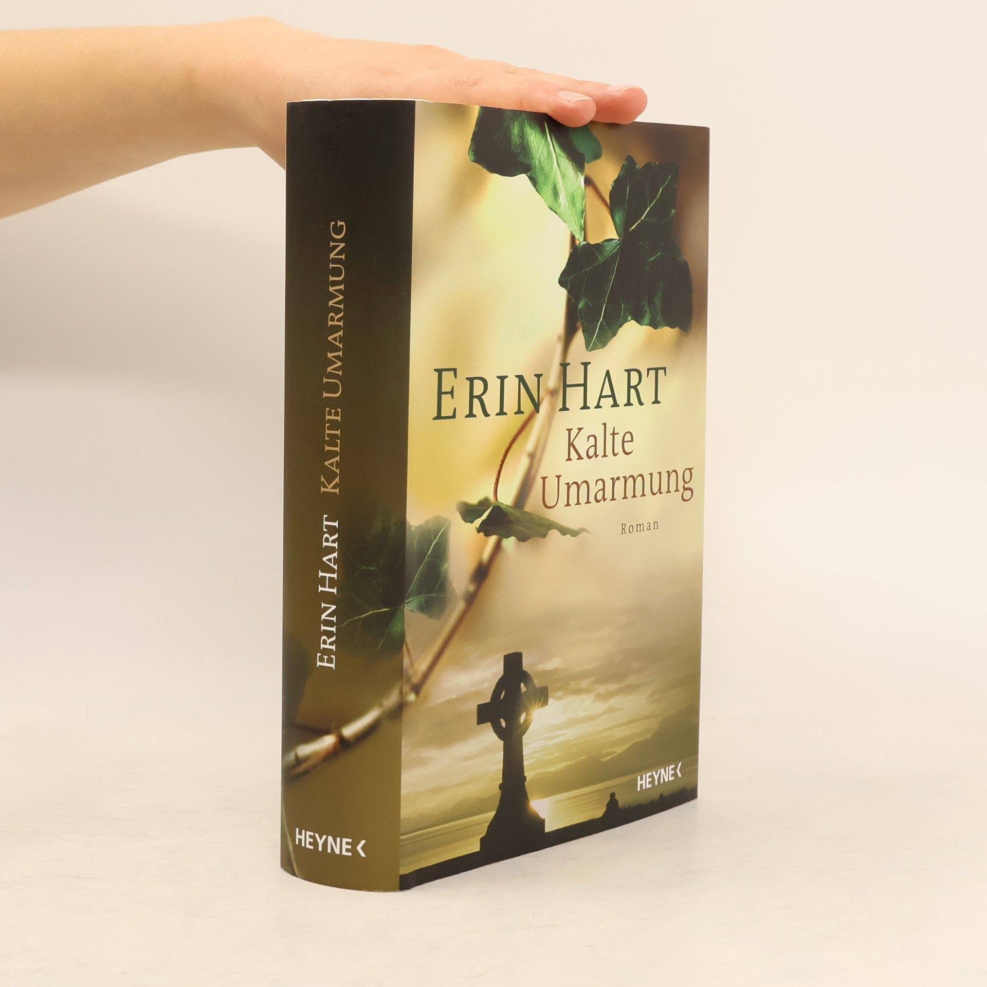 Erin Hart Kalte Umarmung