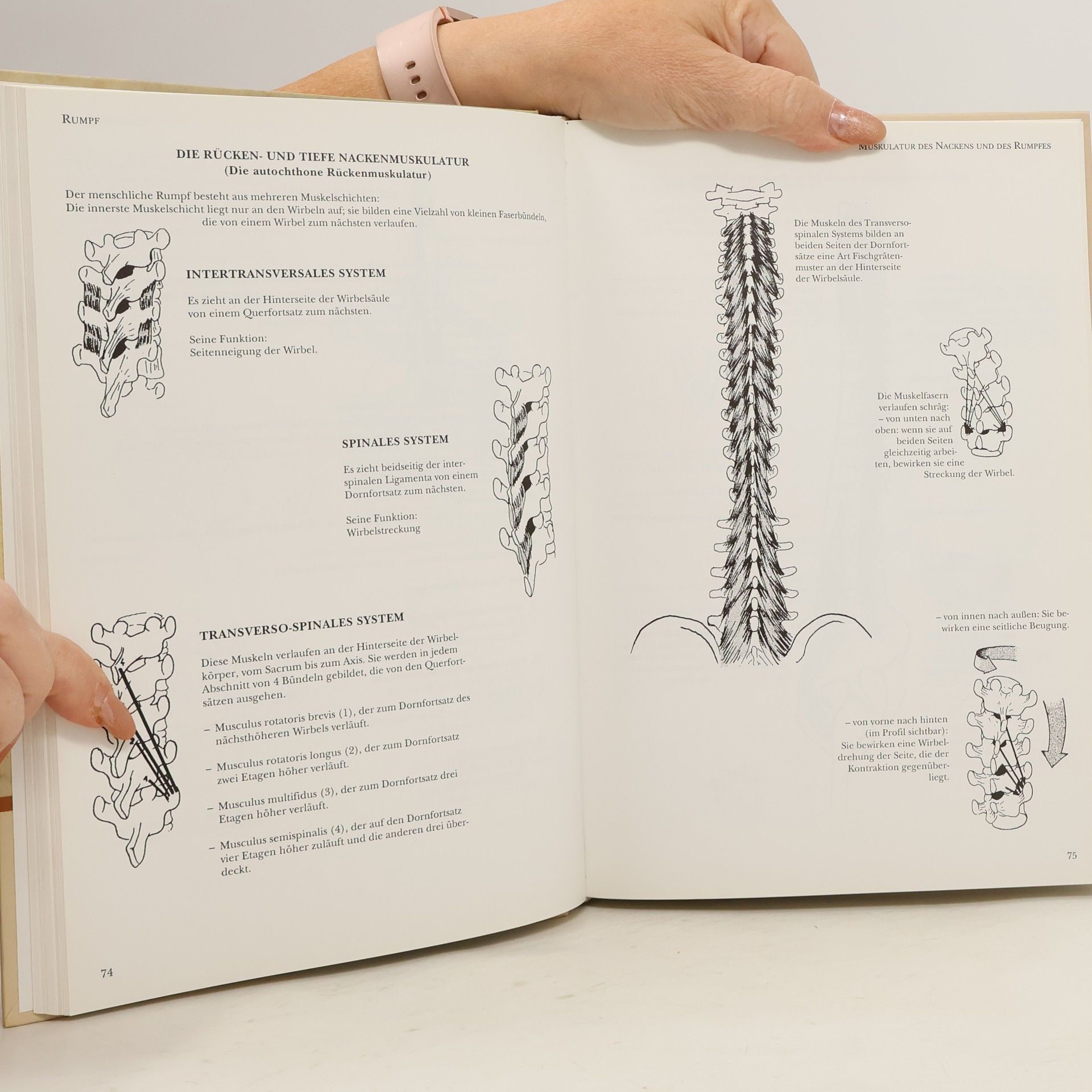 Blandine Calais-Germain Anatomie der Bewegung
