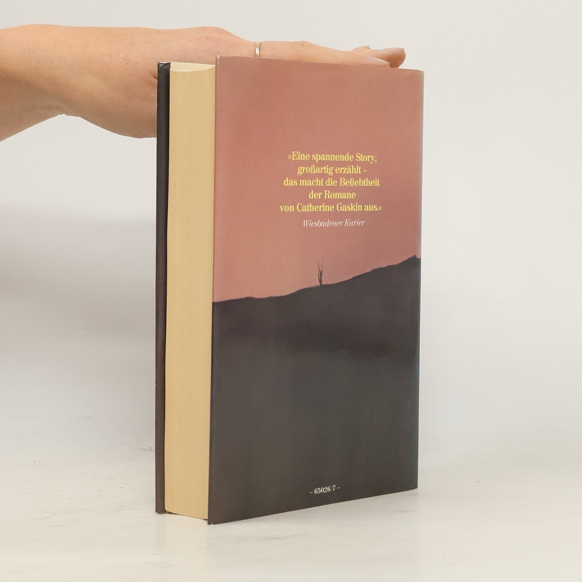 Catherine Gaskin Ein Windspiel im Nebel