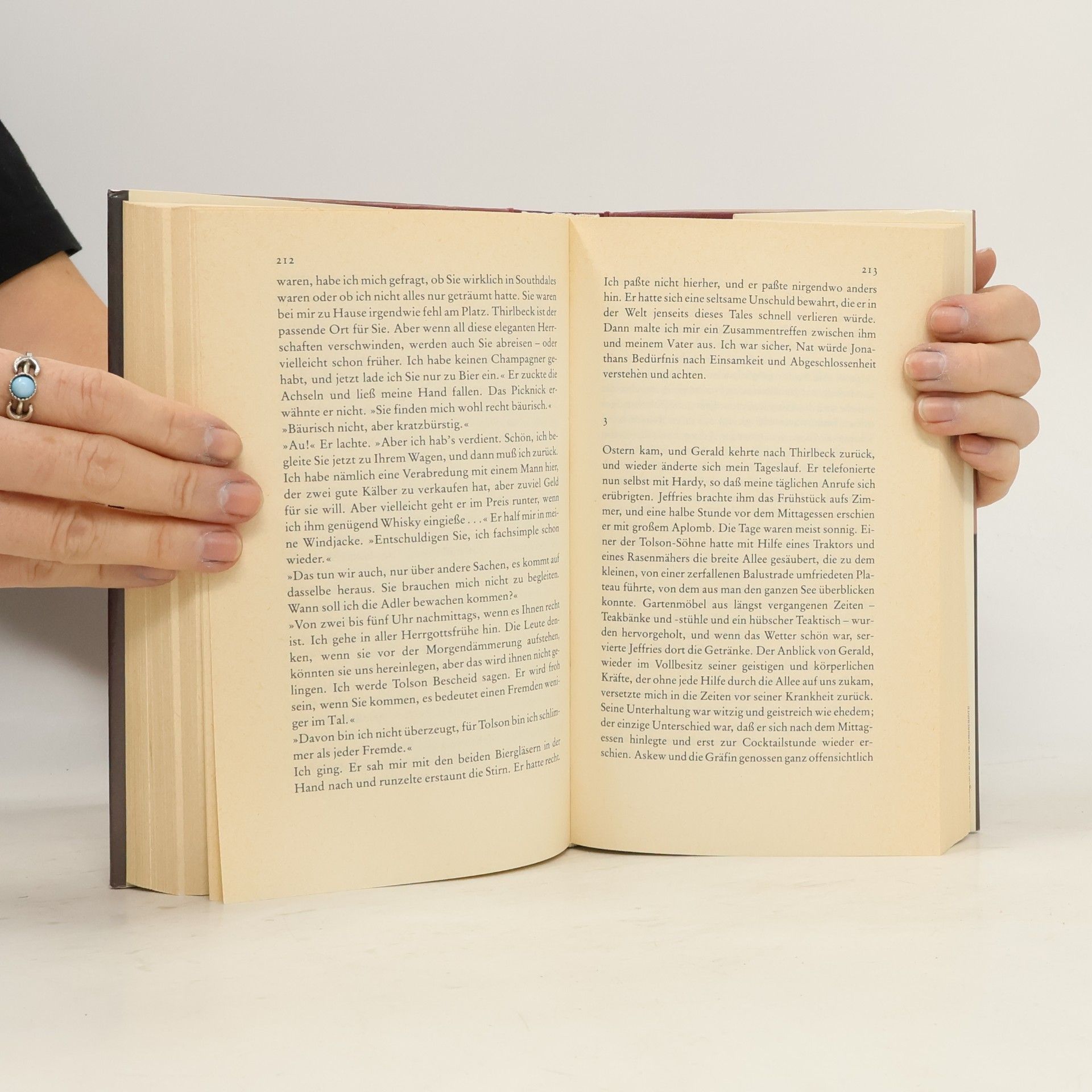 Catherine Gaskin Ein Windspiel im Nebel
