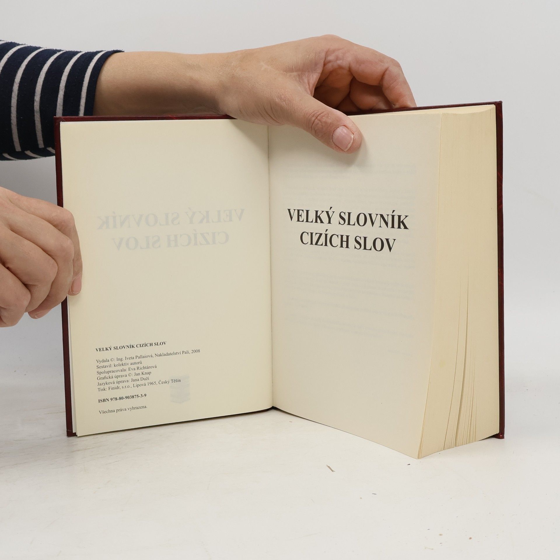 Autorenkollektiv Velký slovník cizích slov