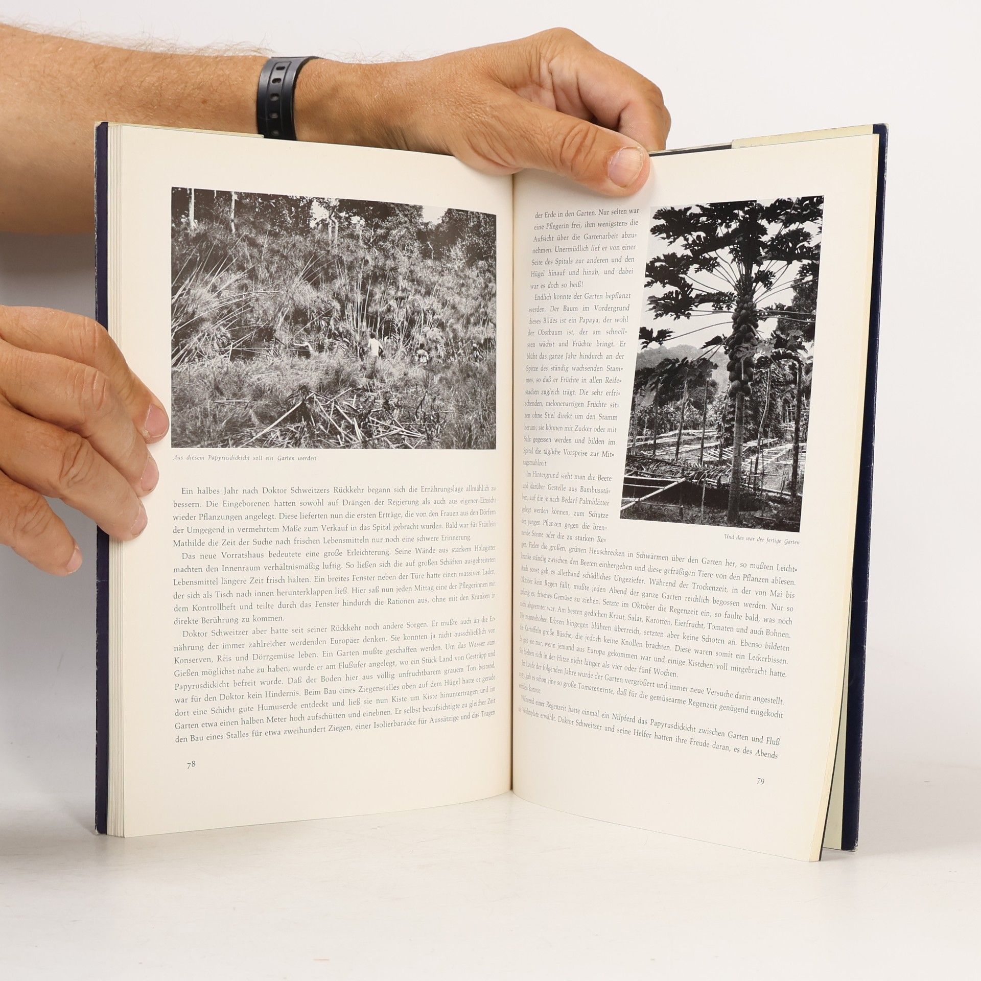 Autorenkollektiv Albert Schweitzer. Baut Lambarene. Die Blauen Bücher