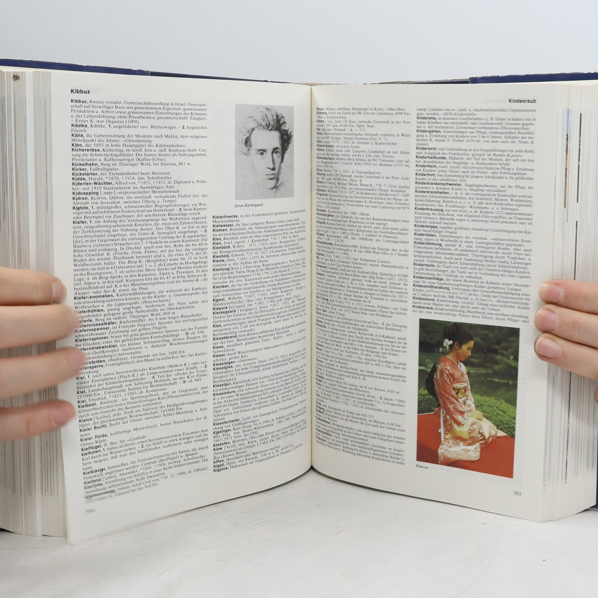 Autorenkollektiv Großes Hand lexikon in Farbe