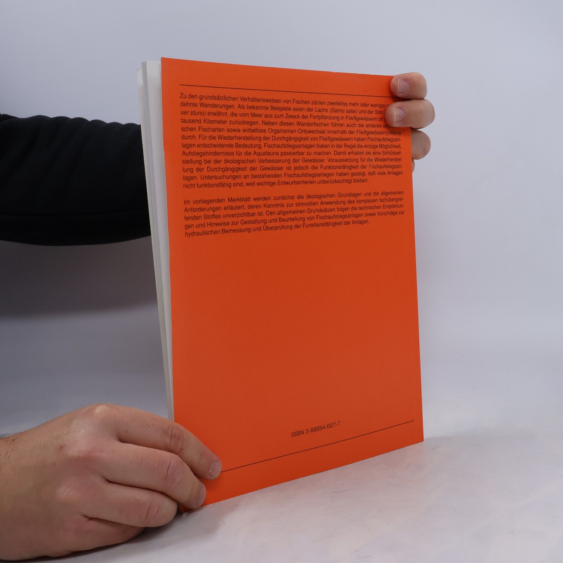 Atelier Buchholz/Hinsch/Hensinger Fischaufstiegsanlagen