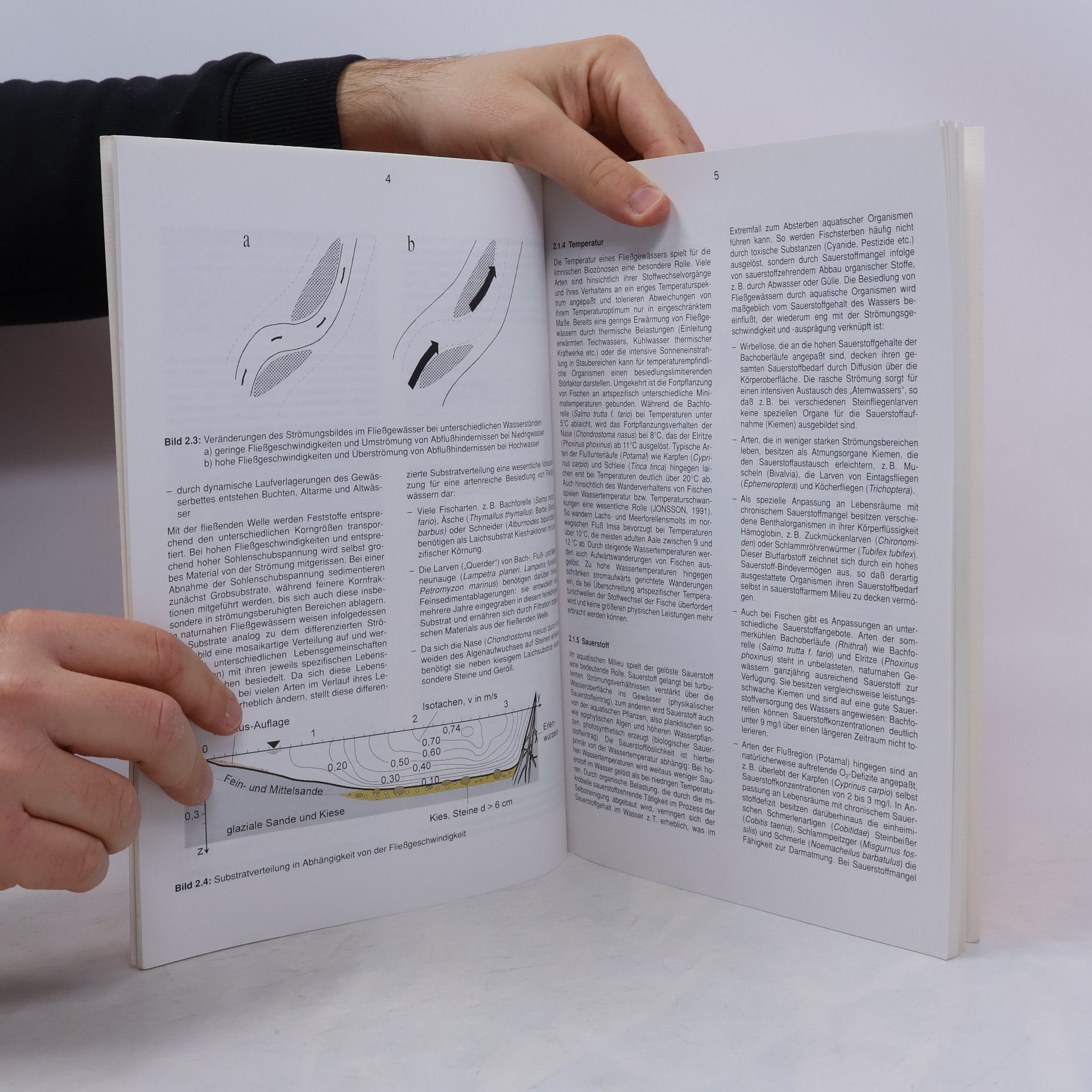 Atelier Buchholz/Hinsch/Hensinger Fischaufstiegsanlagen