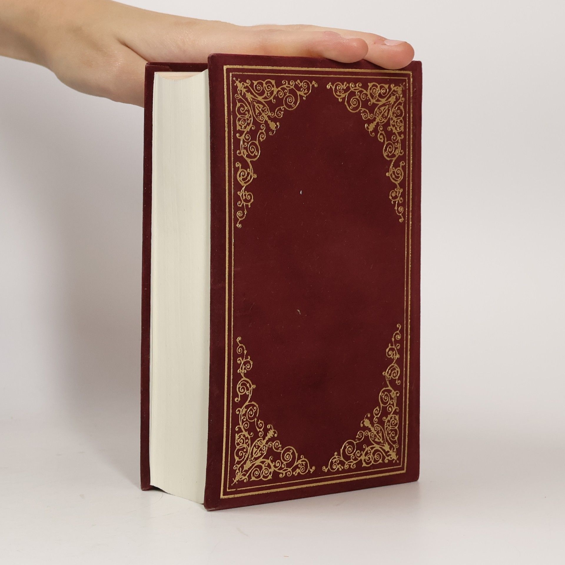 Vinzenz Hamp Die Bibel