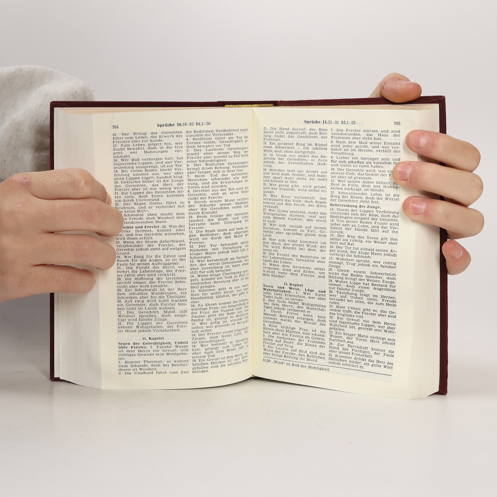 Vinzenz Hamp Die Bibel