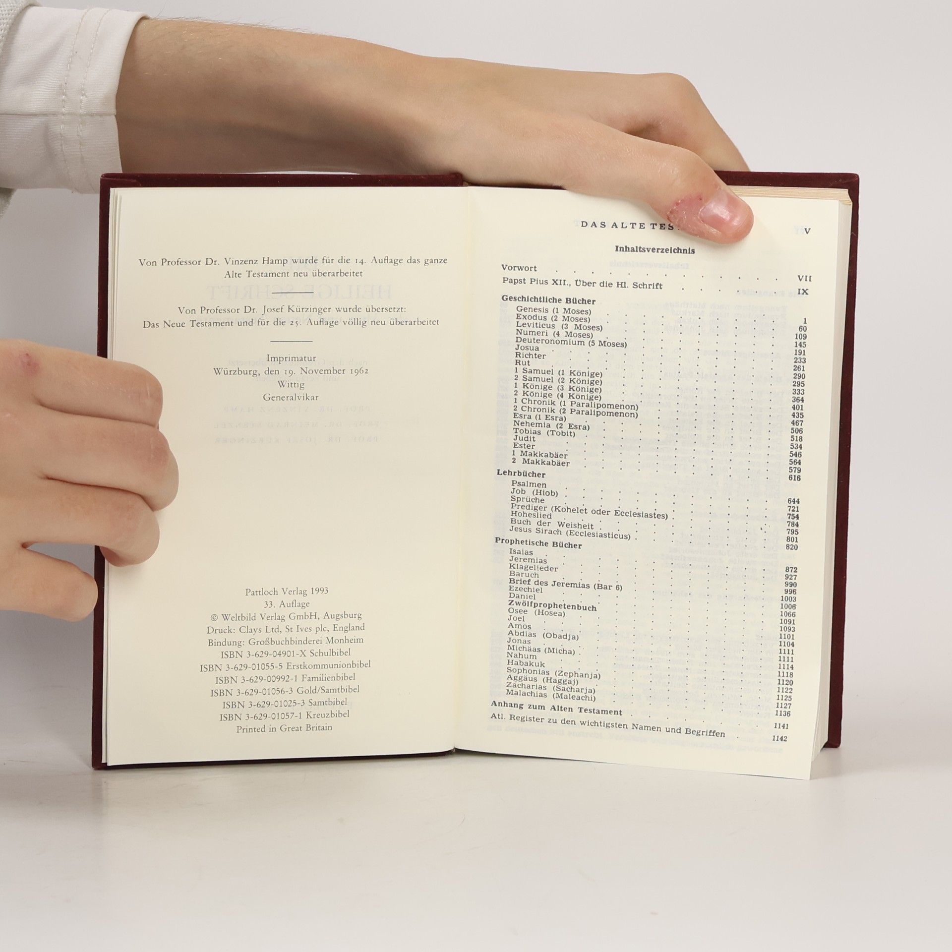 Vinzenz Hamp Die Bibel