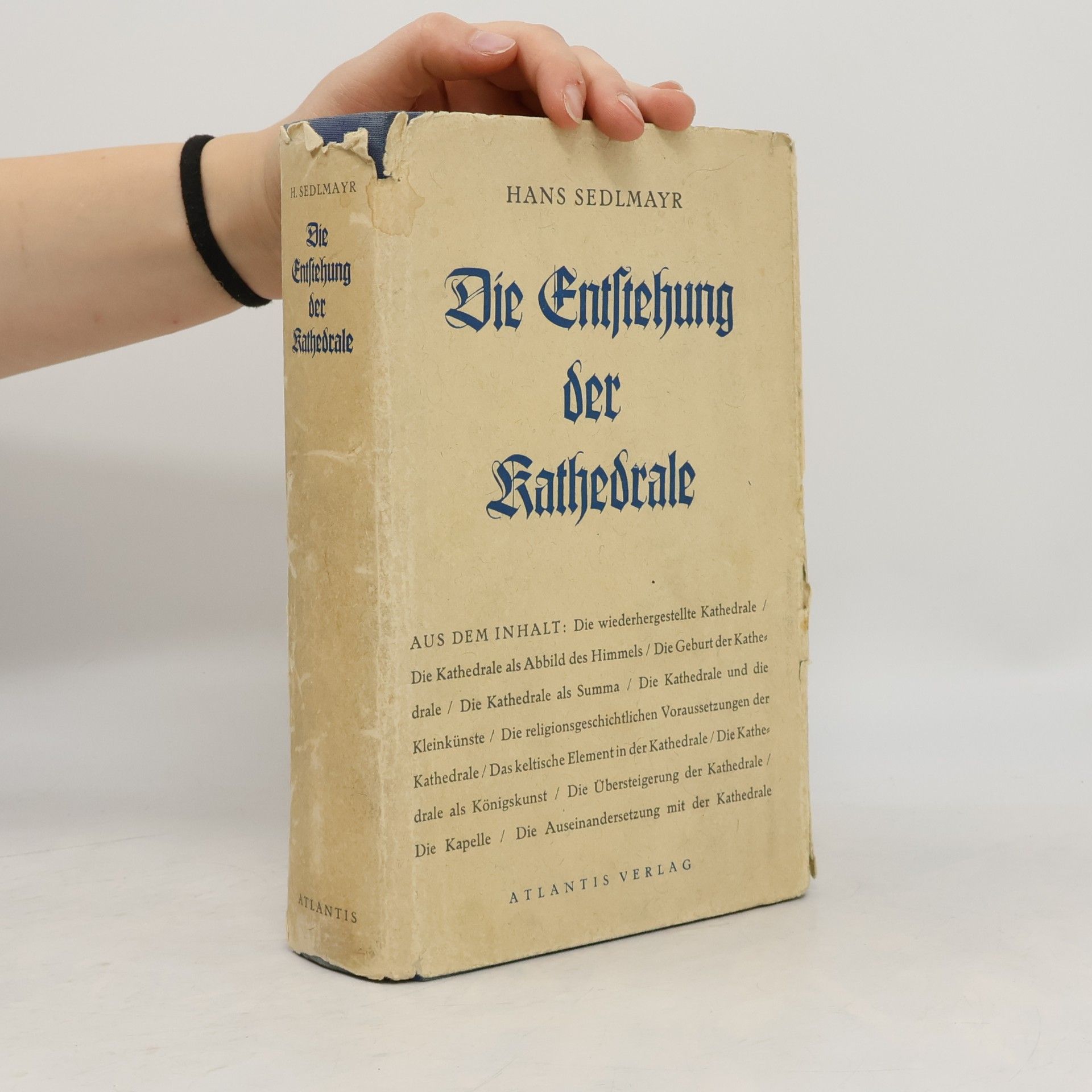 Die Entstehung der Kathedrale