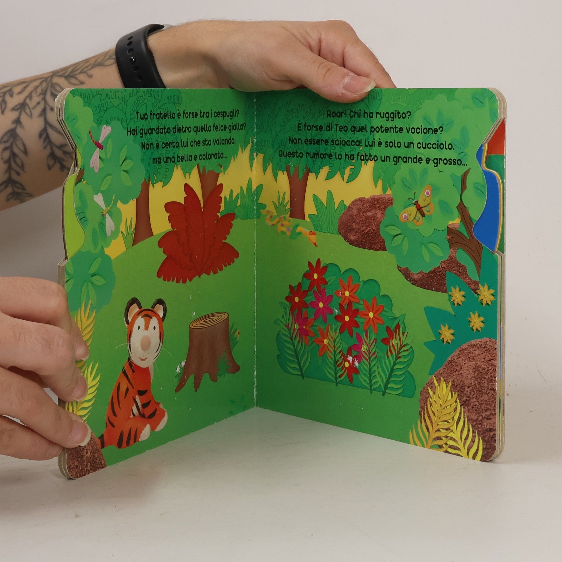 Julie Clough Il tigrotto. Libro pop-up