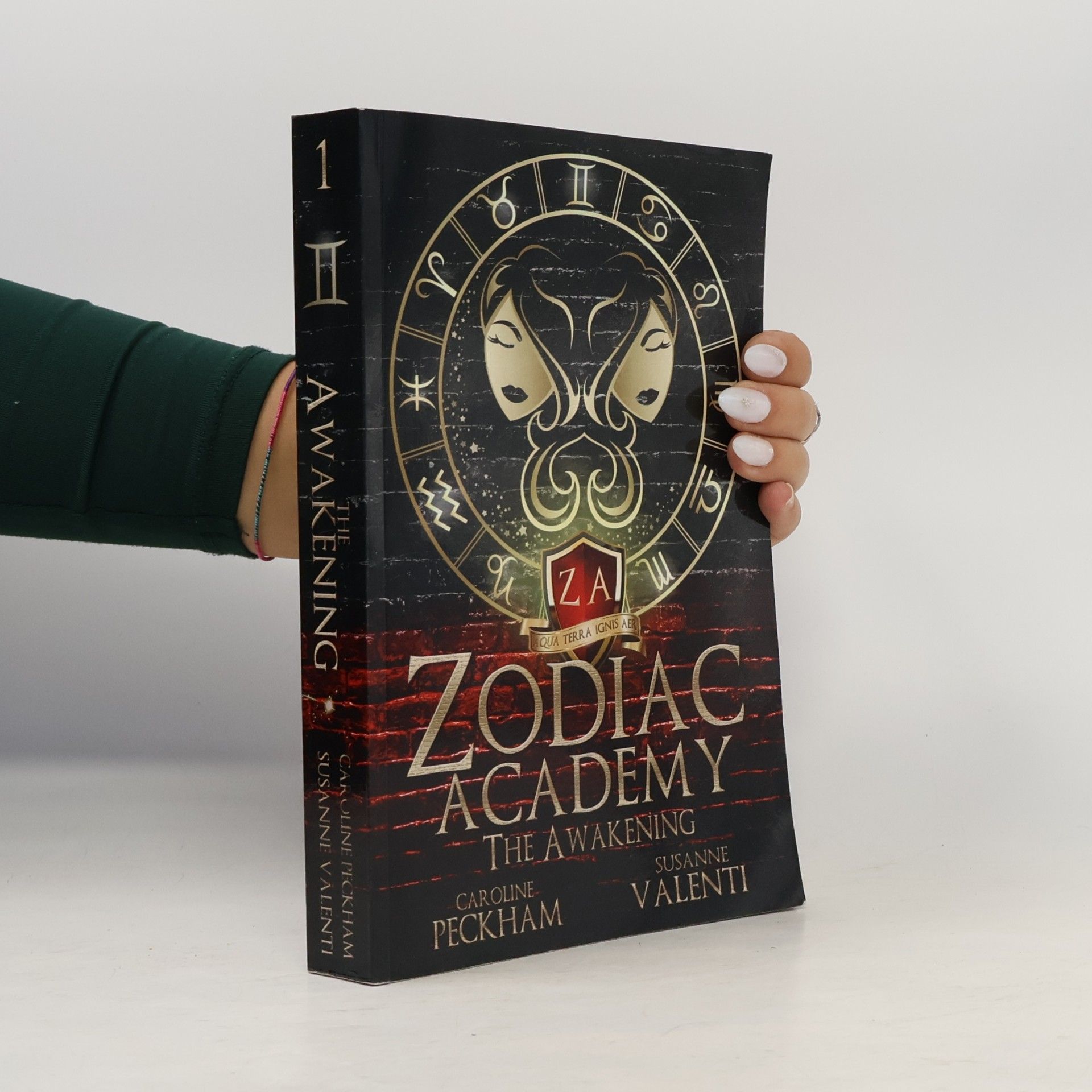 Zodiac Academy