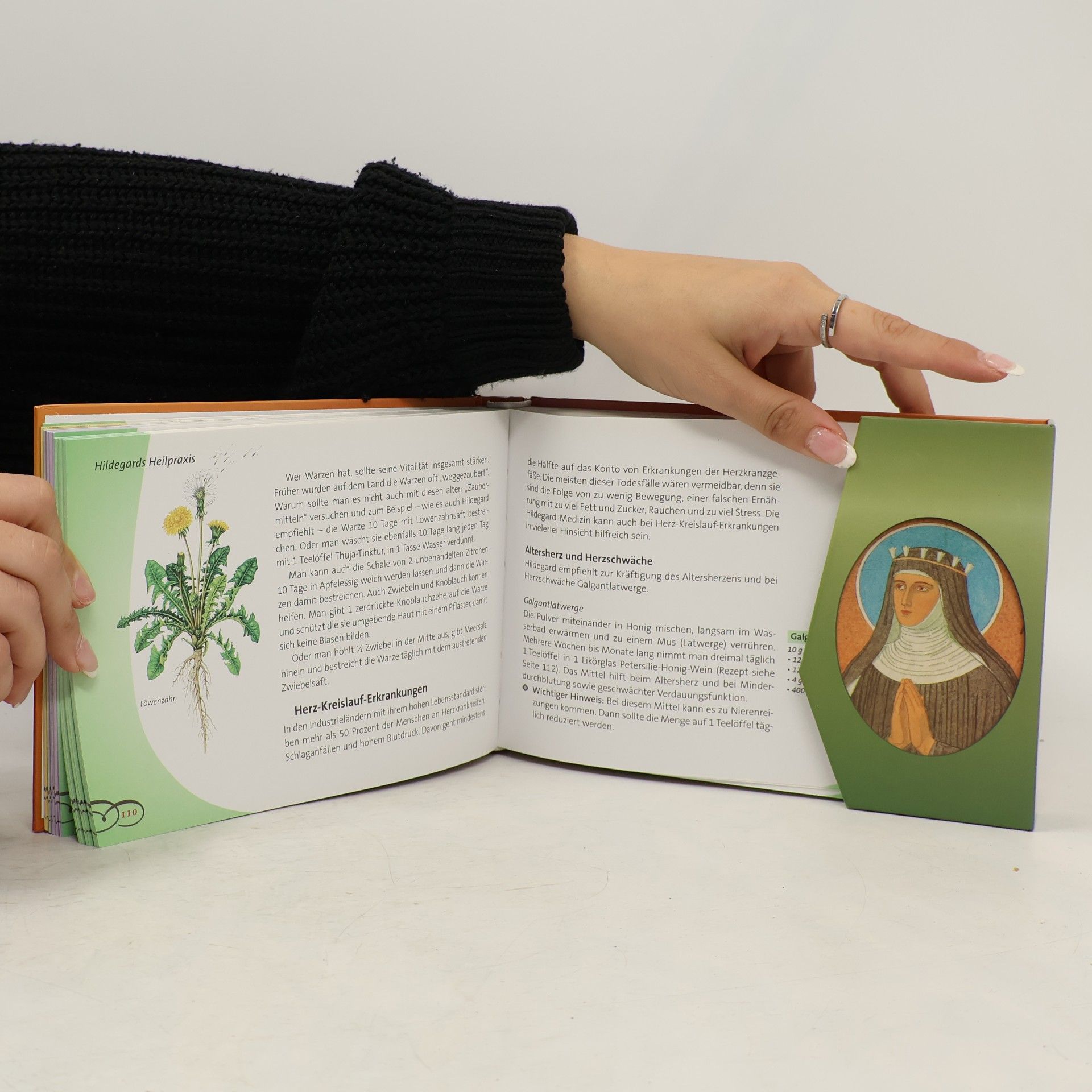 Various authors Hildegard von Bingen - bewährtes Heilwissen für Gesundheit und Wohlbefinden