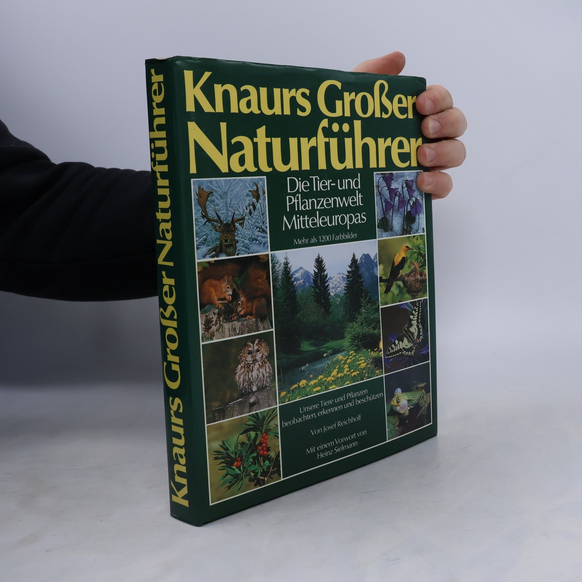 Knaurs Großer Naturführer. Die Tier- und Pflanzenwelt Mitteleuropas