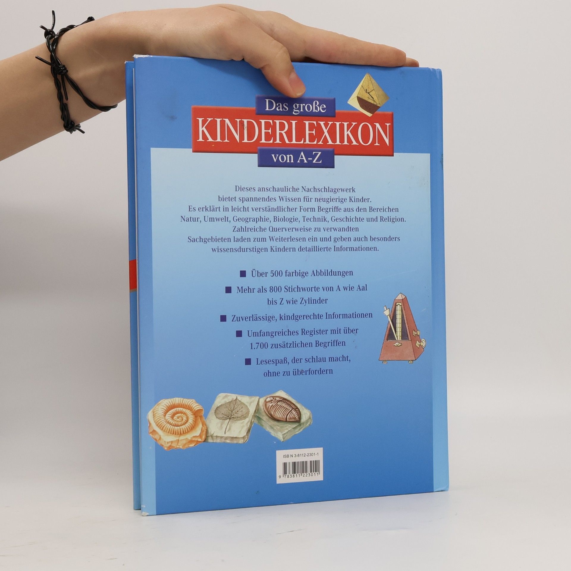 Norbert Landa Das große Kinderlexikon von A-Z