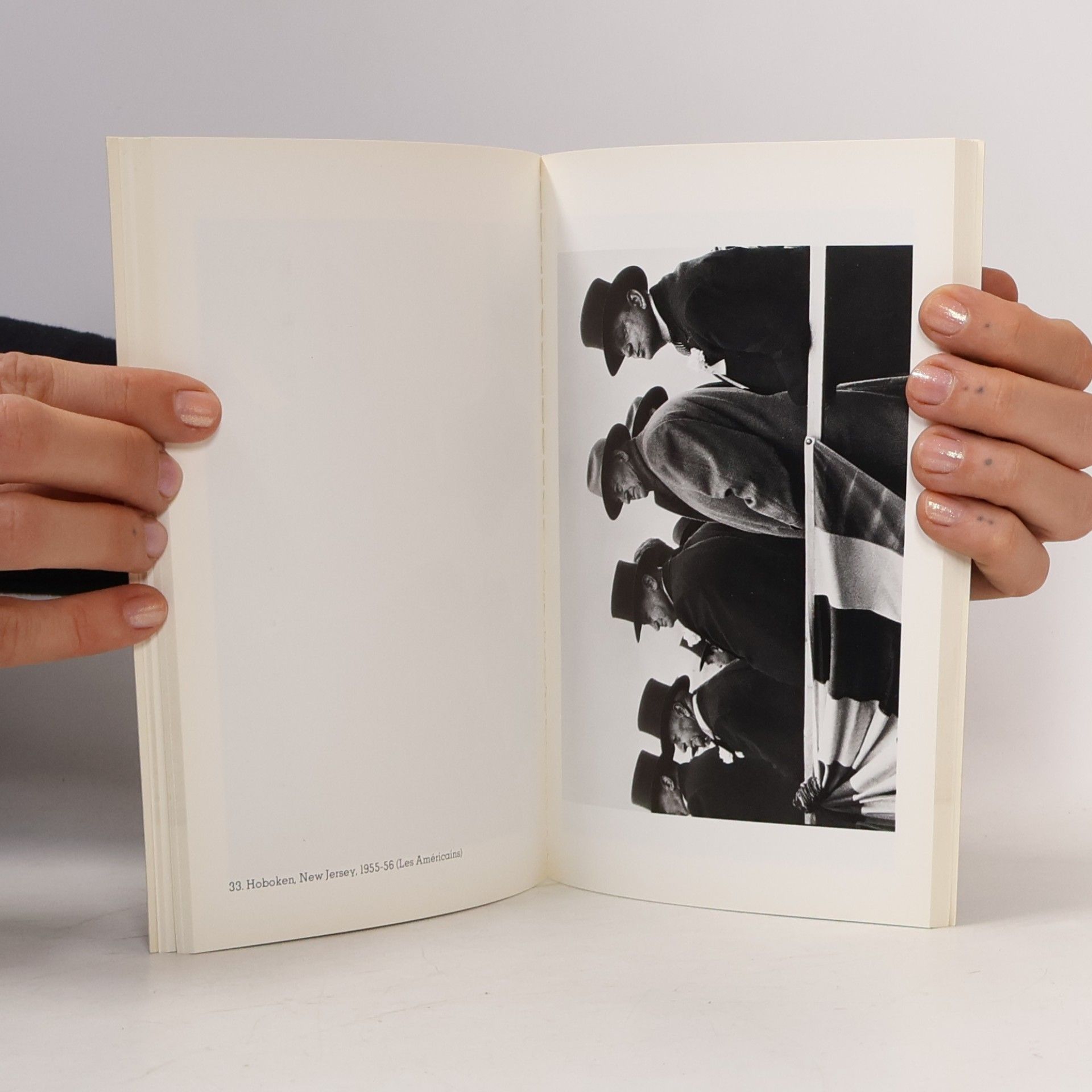 Kolektiv autorů Robert Frank