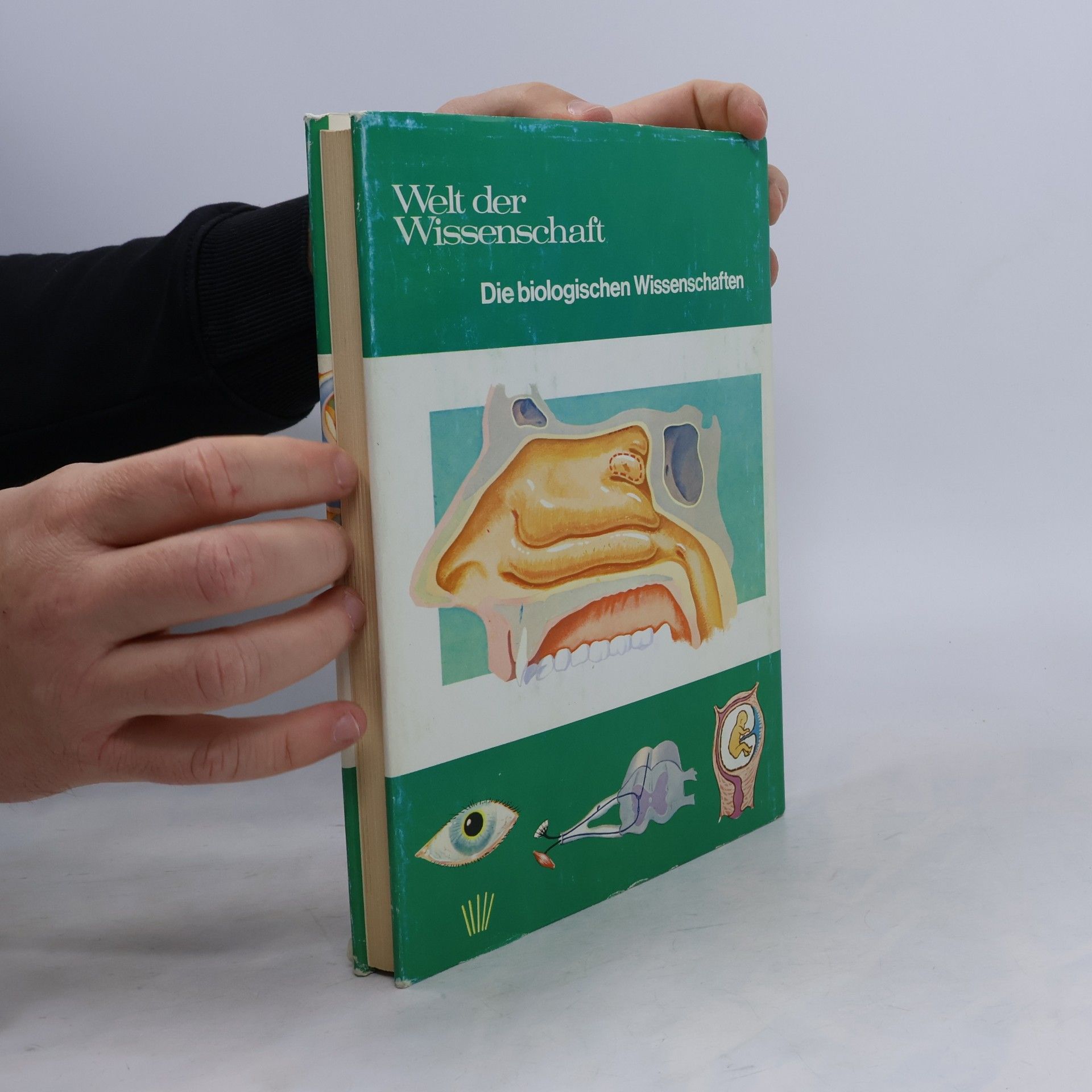 Michael Dempsey Der menschliche Körper. Grundlagen der menschlichen Biologie