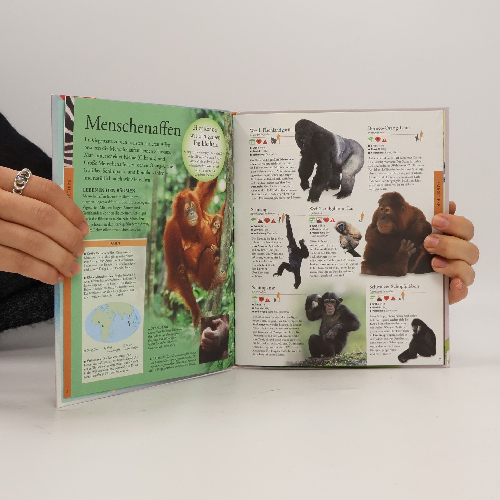 Autorenkollektiv Tiere für clevere Kids