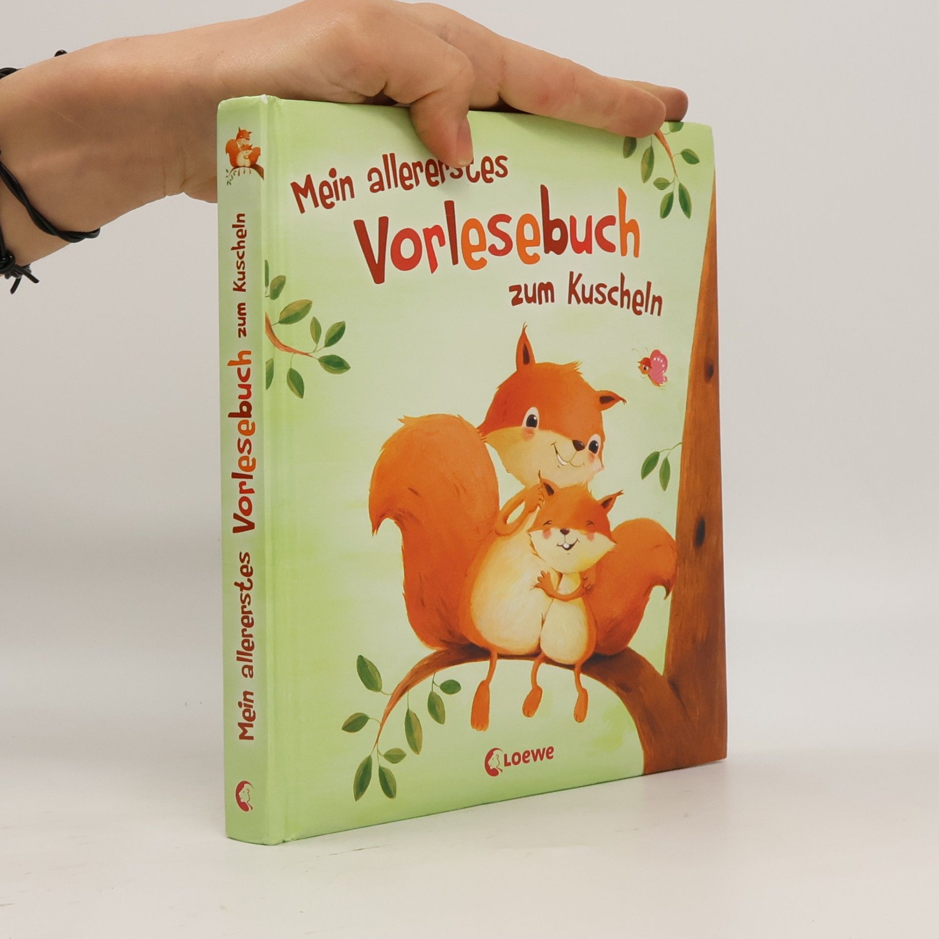 Autorenkollektiv Mein allererstes Vorlesebuch zum Kuscheln