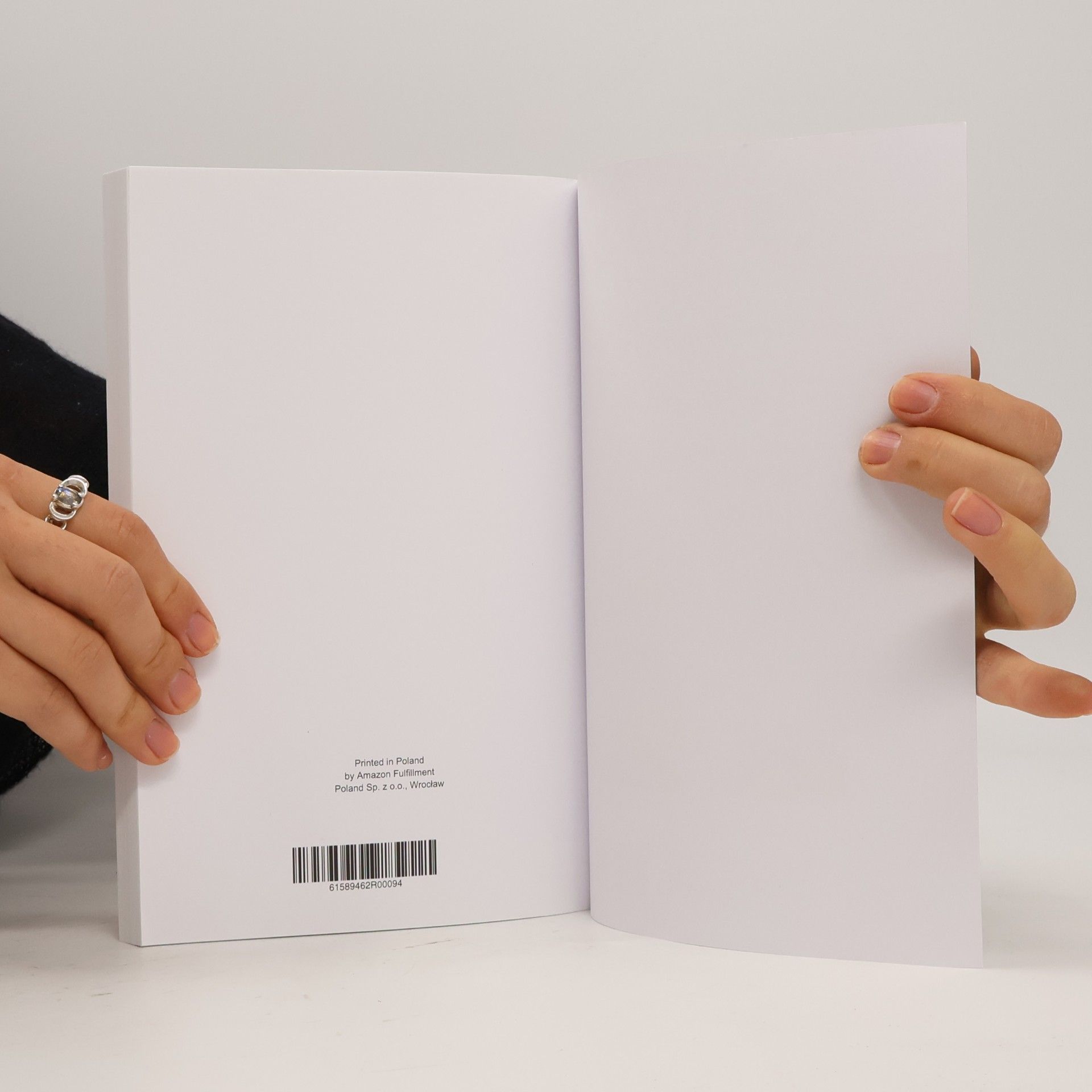 Frieda Beck BLW Kochbuch XXL