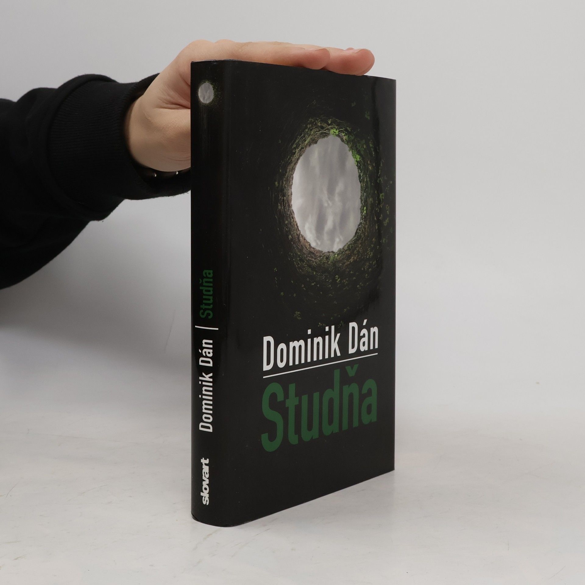 Dominik Dán Studňa