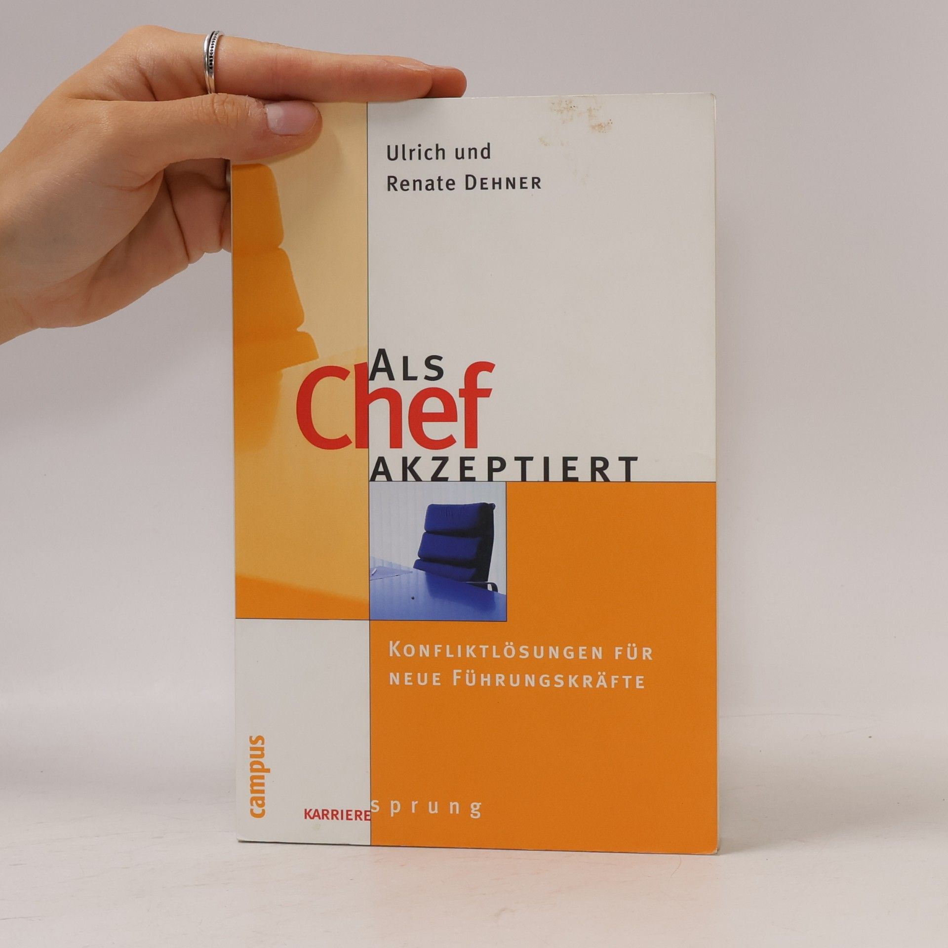 Ulrich Dehner Als Chef akzeptiert
