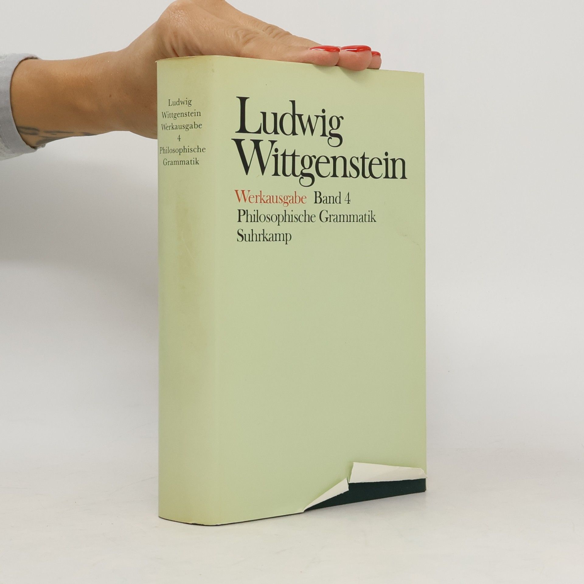 Rush Rhees Werkausgabe - 4: Philosophische Grammatik