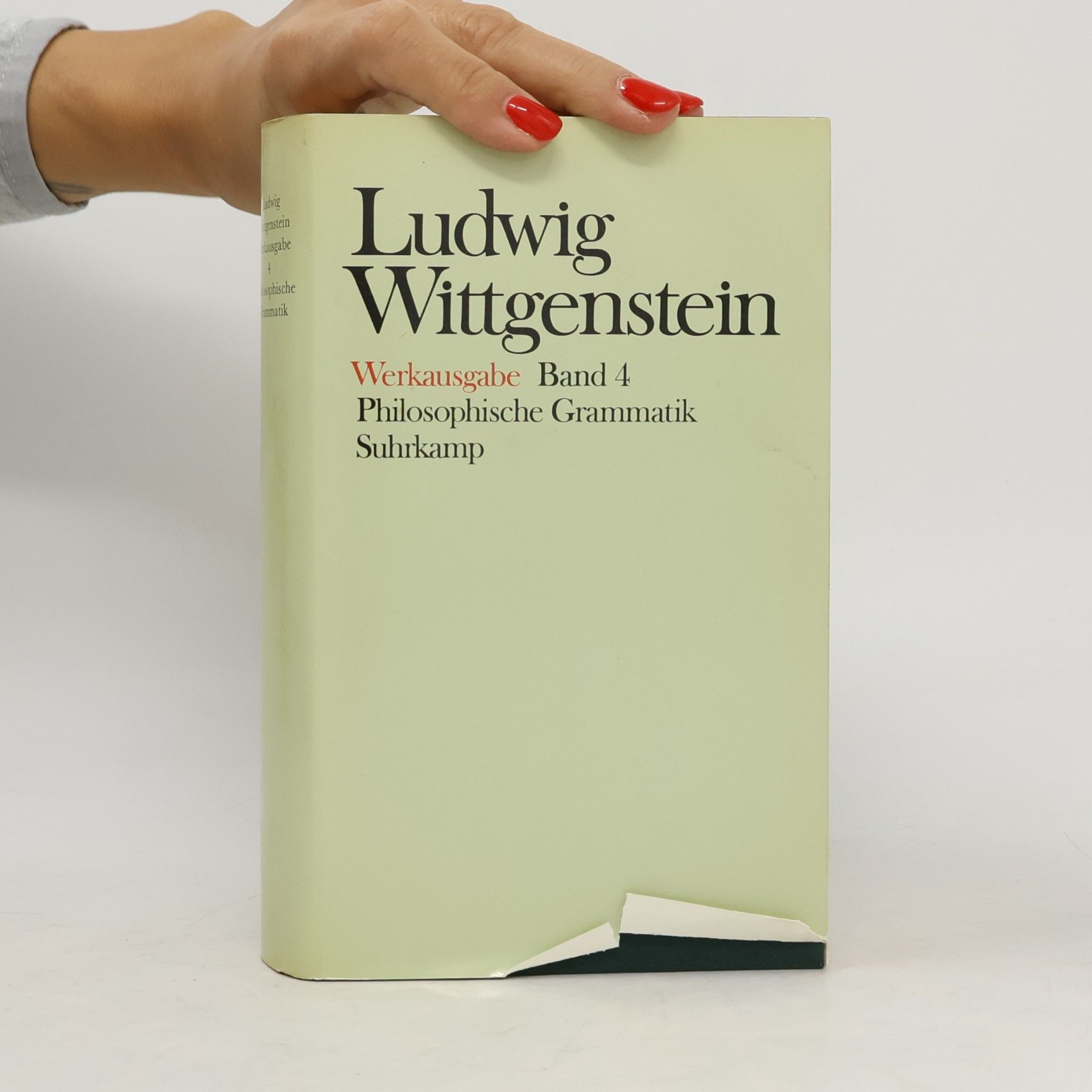Ludwig Wittgenstein Werkausgabe - 4: Philosophische Grammatik