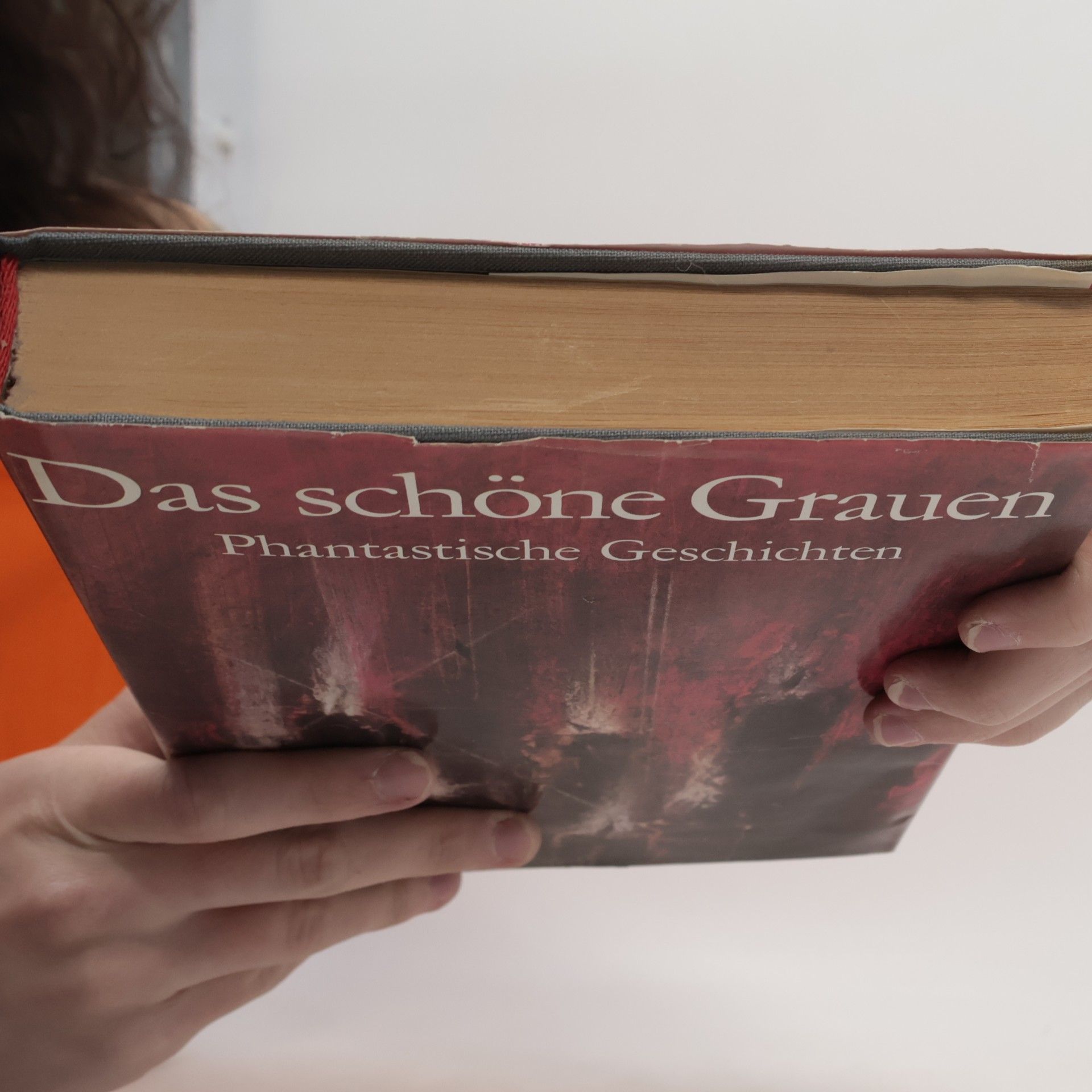 Rolf Schneider Das schöne Grauen: phantastische Geschichten