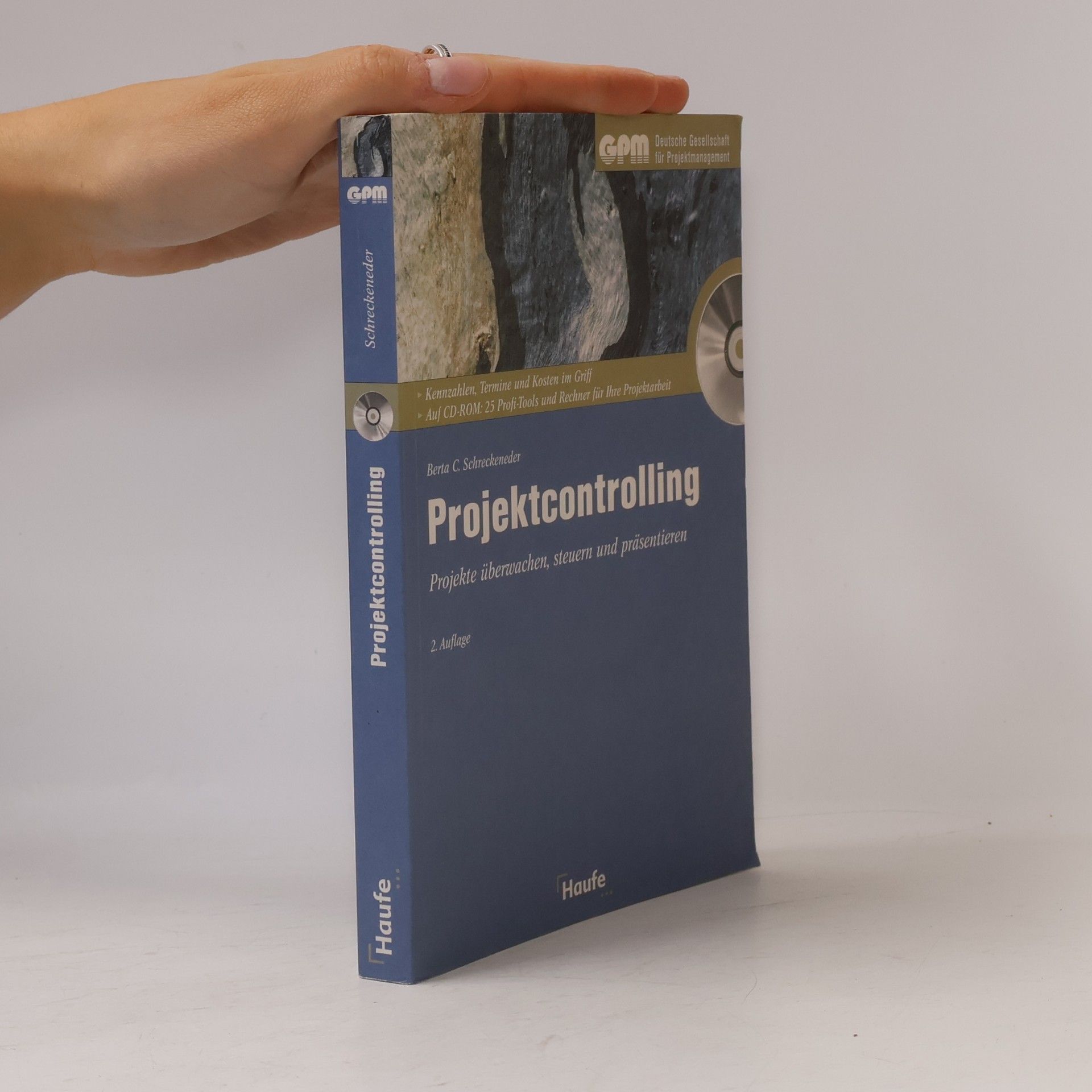 Projektcontrolling