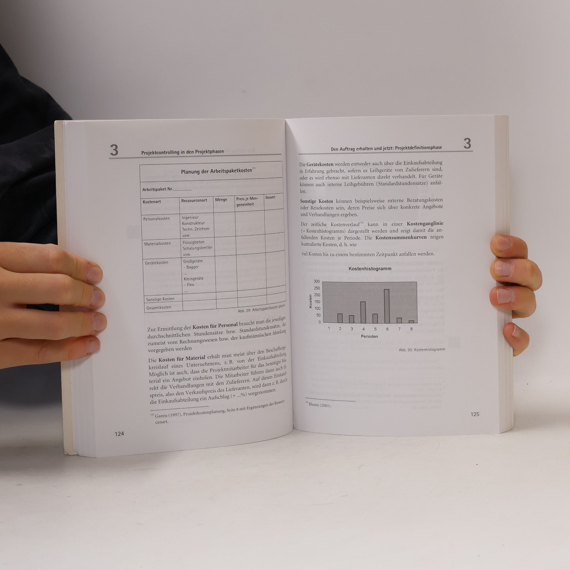 Berta Coromayh Schreckeneder Projektcontrolling