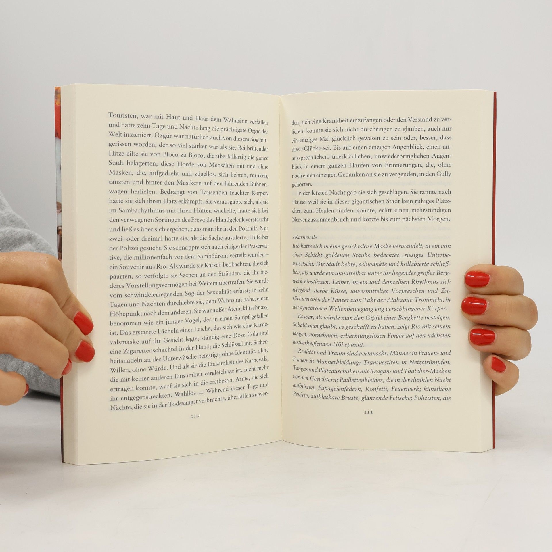 Aslı Erdoğan Türkische Bibliothek: Die Stadt mit der roten Pelerine: Mit einem Nachwort von Karin Schweißgut.