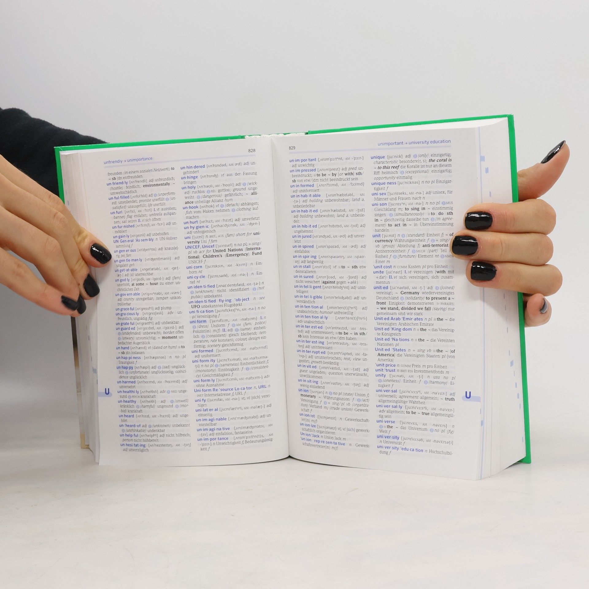 Evelyn Agbaria Schülerwörterbuch Klausurausgabe Englisch