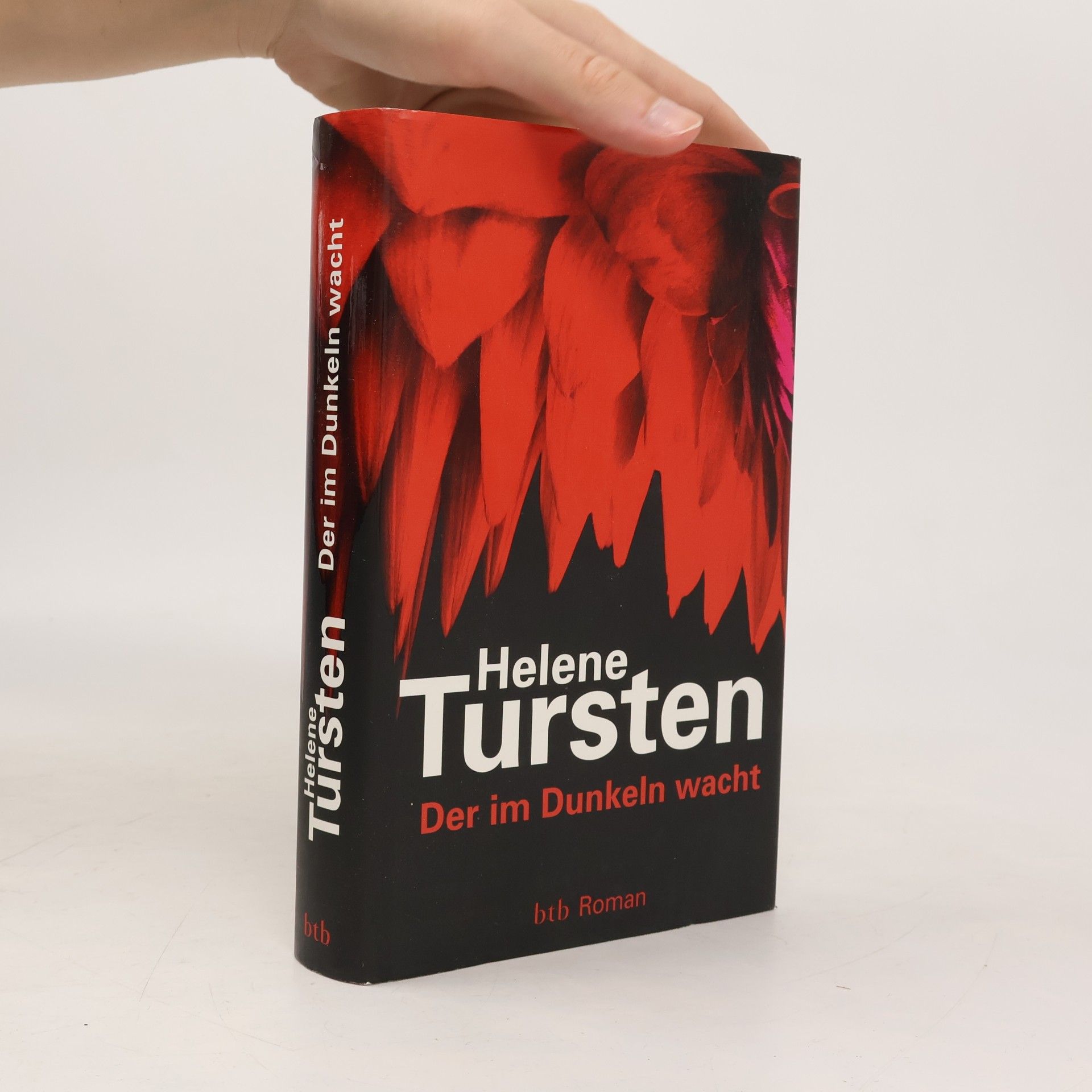 Helene Tursten Der im Dunkeln wacht