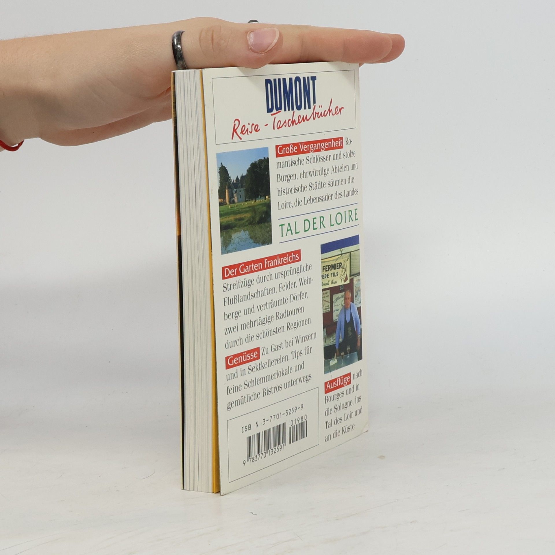 Irene Martschukat Reise-Taschenbücher - 2107: Tal der Loire