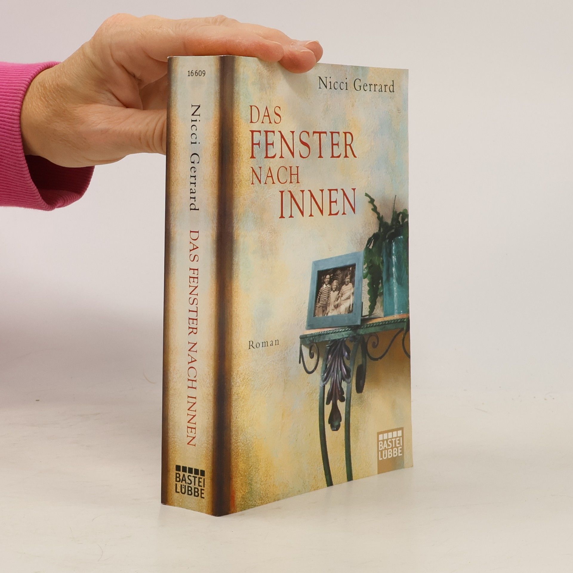 Nicci Gerrard Das Fenster nach innen