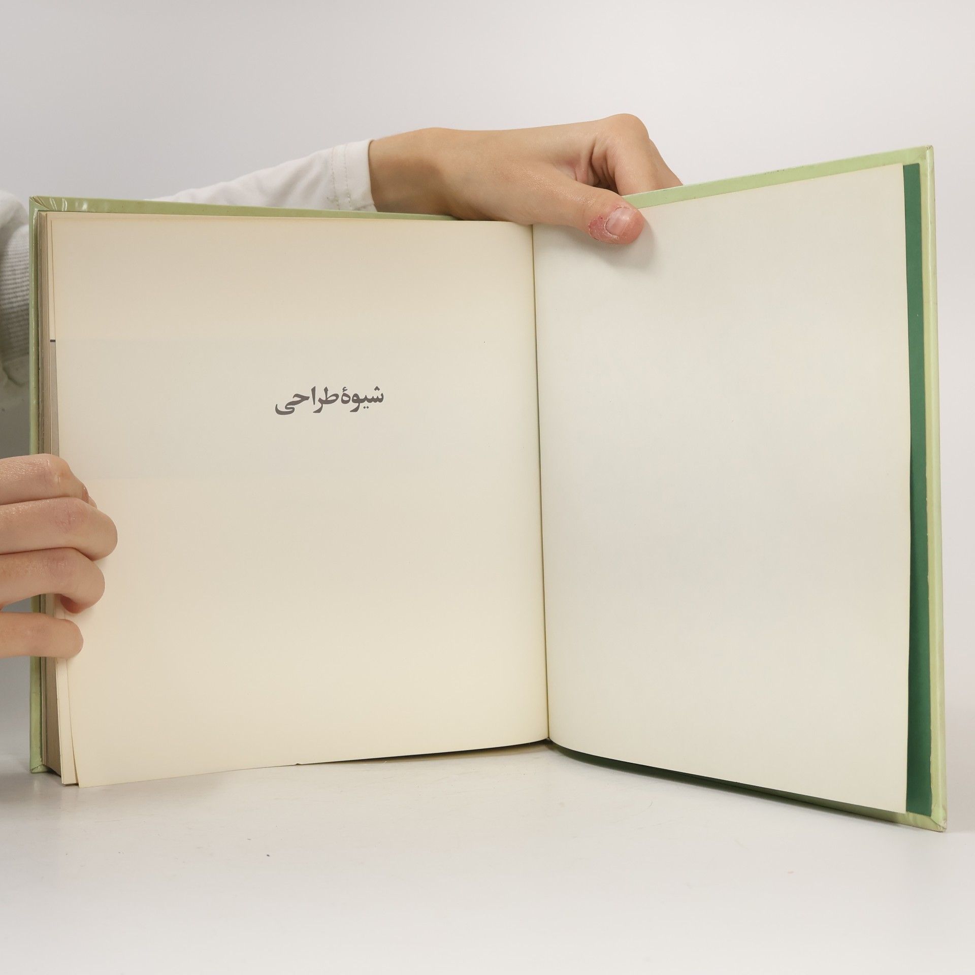 محسن وزیری‌مقدم شیوه طراحی