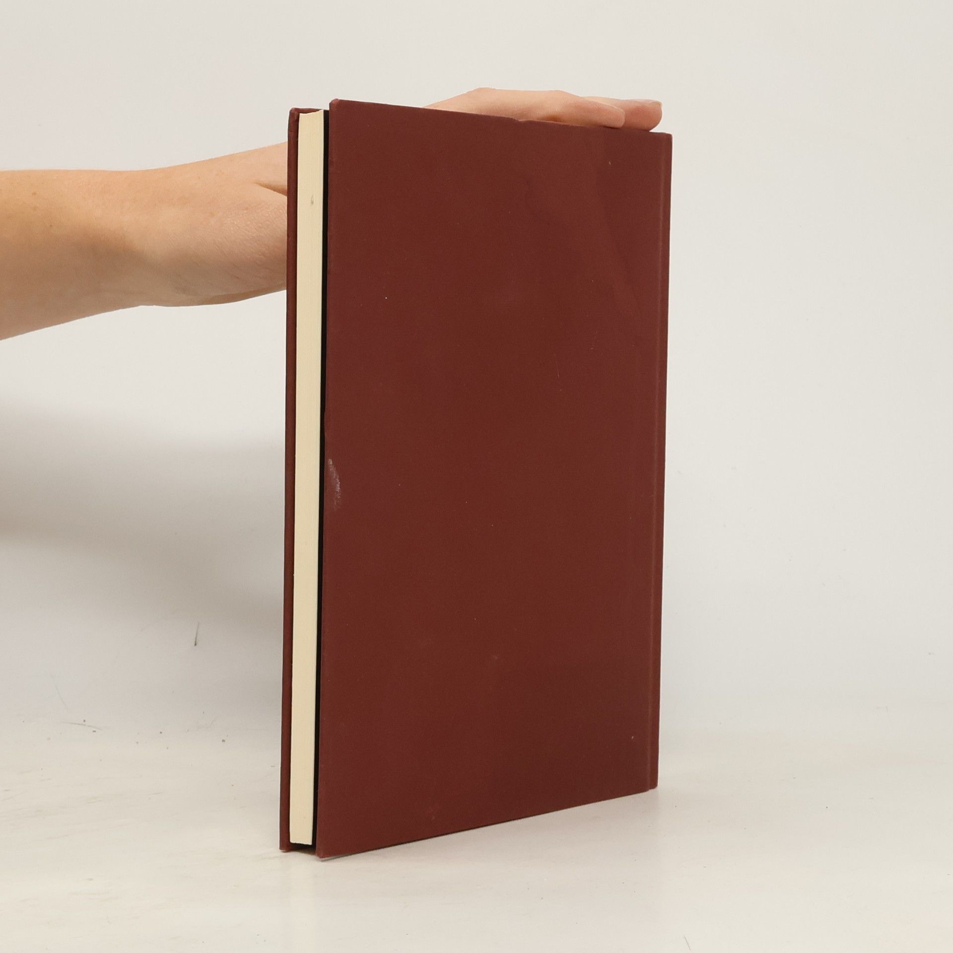 Gerhard Amanshauser Mansardenbuch