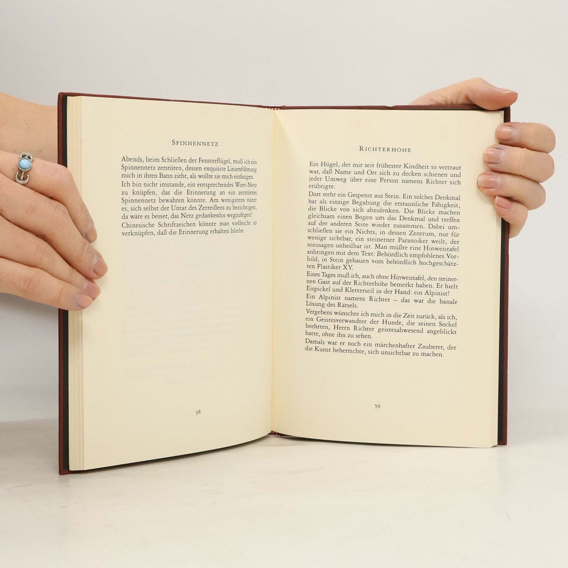 Gerhard Amanshauser Mansardenbuch