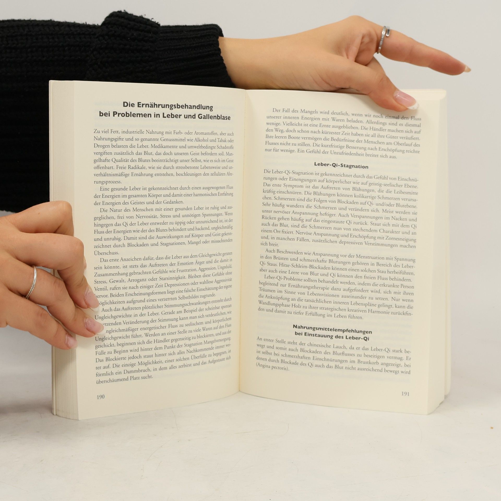 Manuela Heider de Jahnsen Das große Handbuch der chinesischen Ernährungslehre