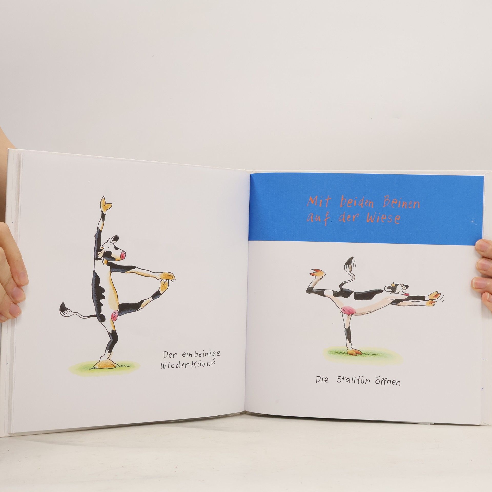 Klaus Puth Yoga für Kühe