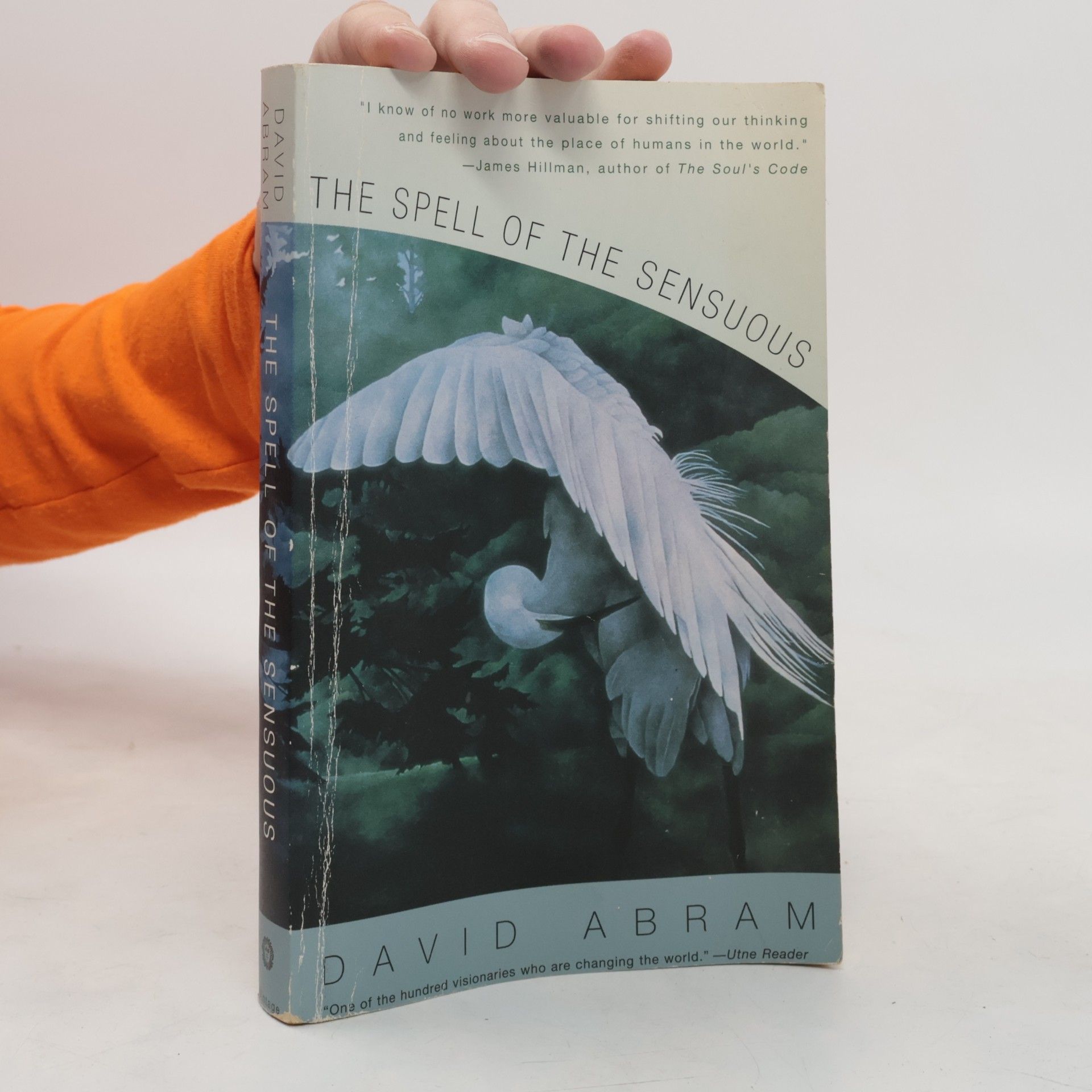 David Abram The Spell of the Sensuous