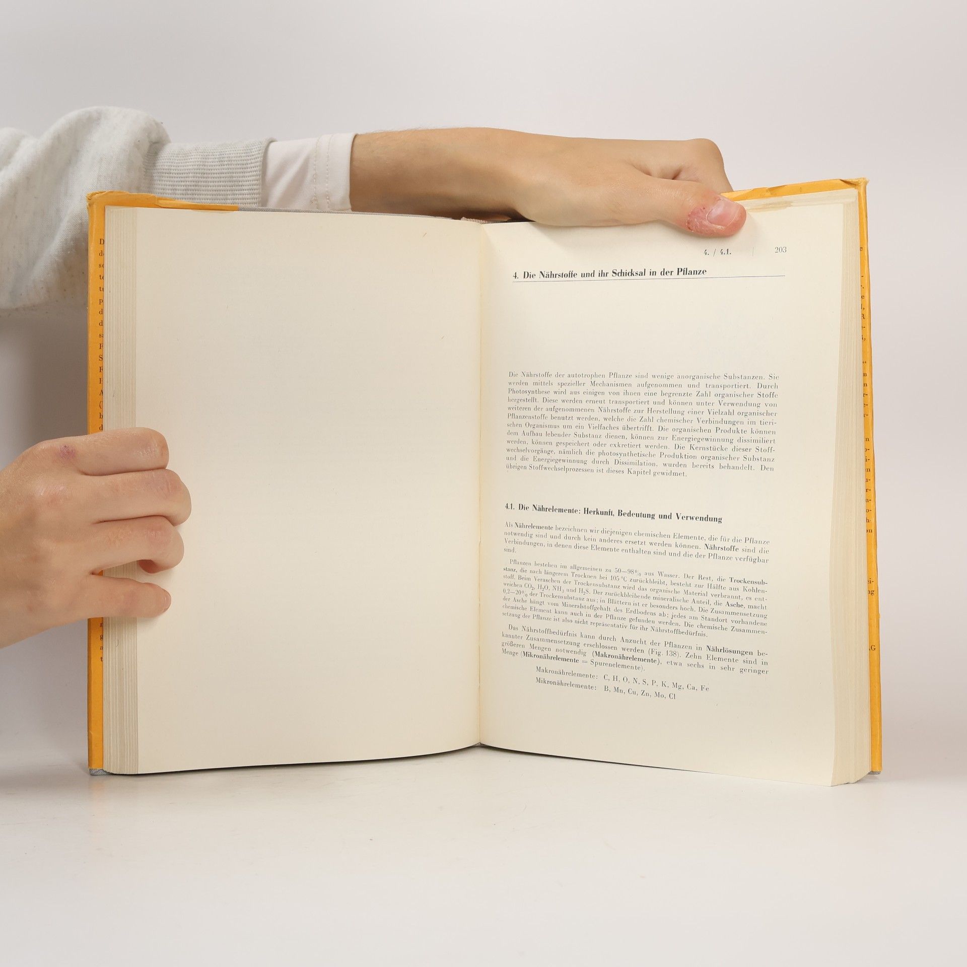 Eike Libbert Lehrbuch der Pflanzenphysiologie