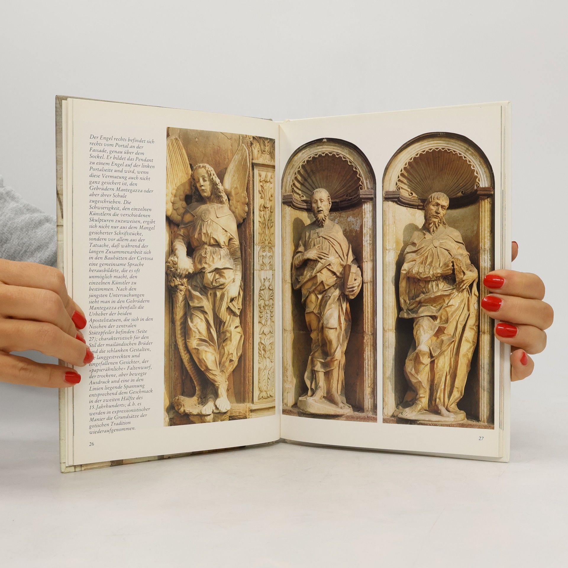 Paola Bernardi Das Kartäuserkloster in Pavia