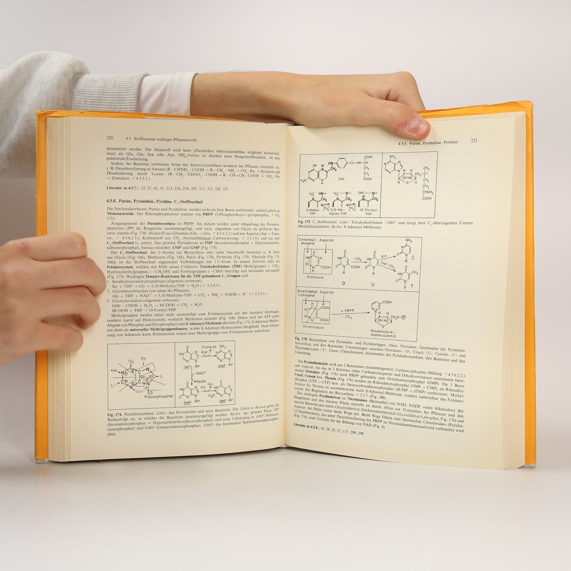 Eike Libbert Lehrbuch der Pflanzenphysiologie - 4. Auflage - Mit 332 Abbildungen